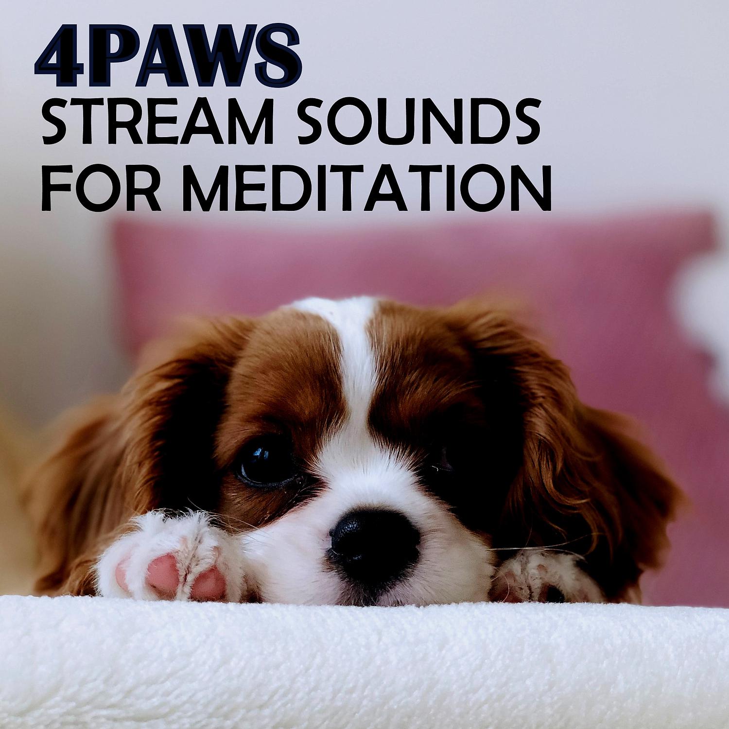 Постер альбома 4PAWS: Stream Sounds For Meditation