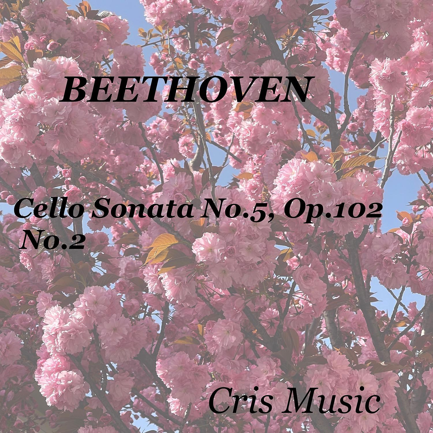 Постер альбома Beethoven: Cello Sonata No.5, Op.102, No.2