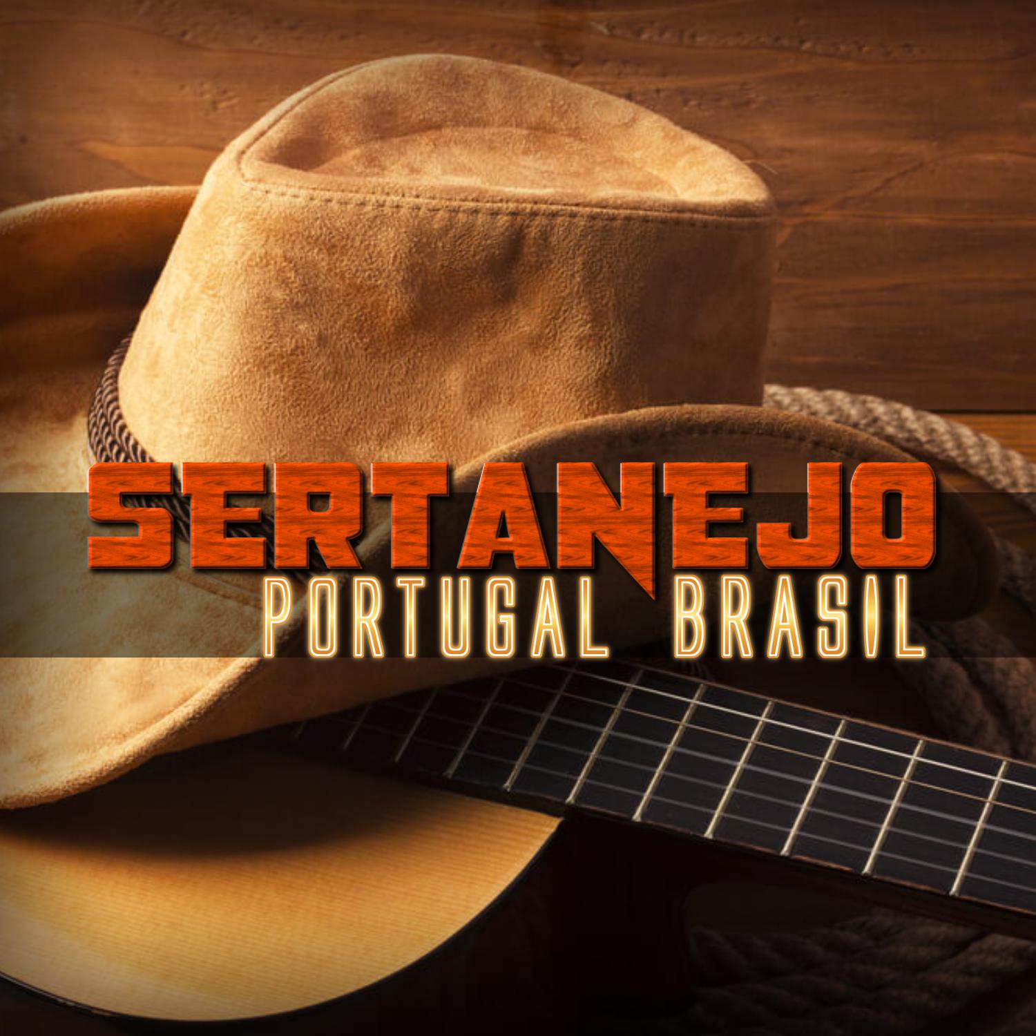 Постер альбома Sertanejo