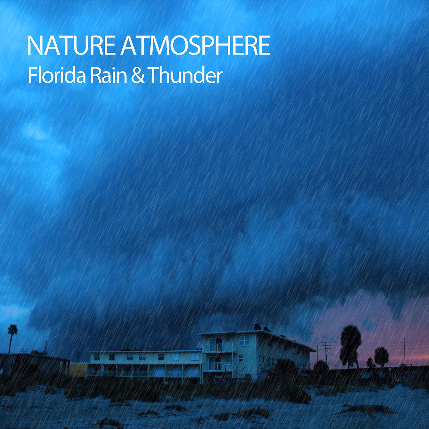 Постер альбома Nature Atmosphere: Florida Rain & Thunder