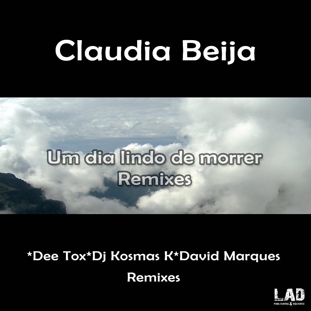 Постер альбома Um Dia Lindo de Morrer Remixes