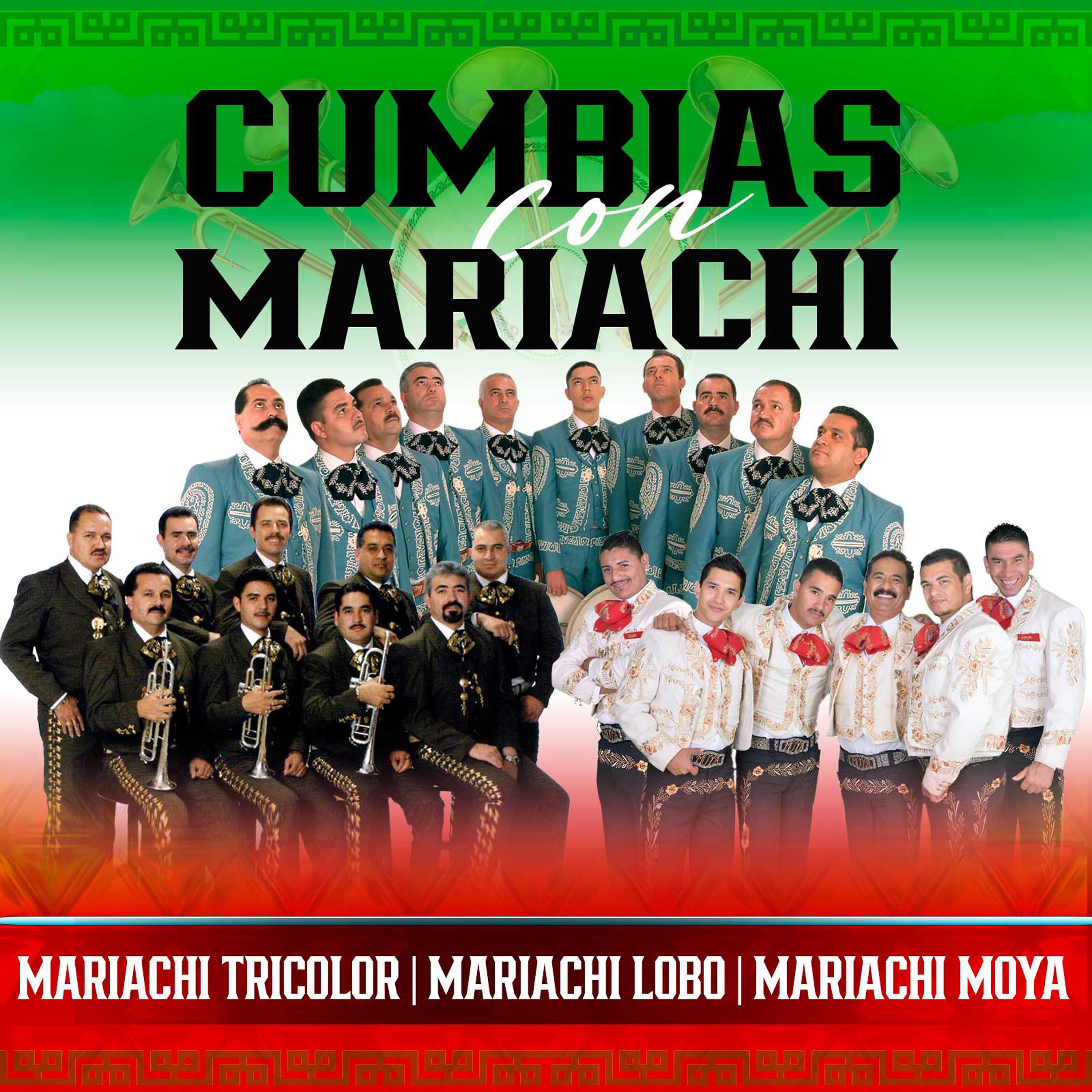 Постер альбома Cumbias Con Mariachi