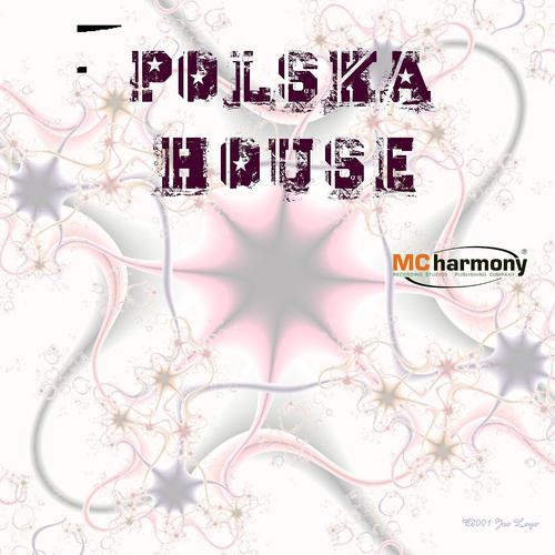 Постер альбома Polska House