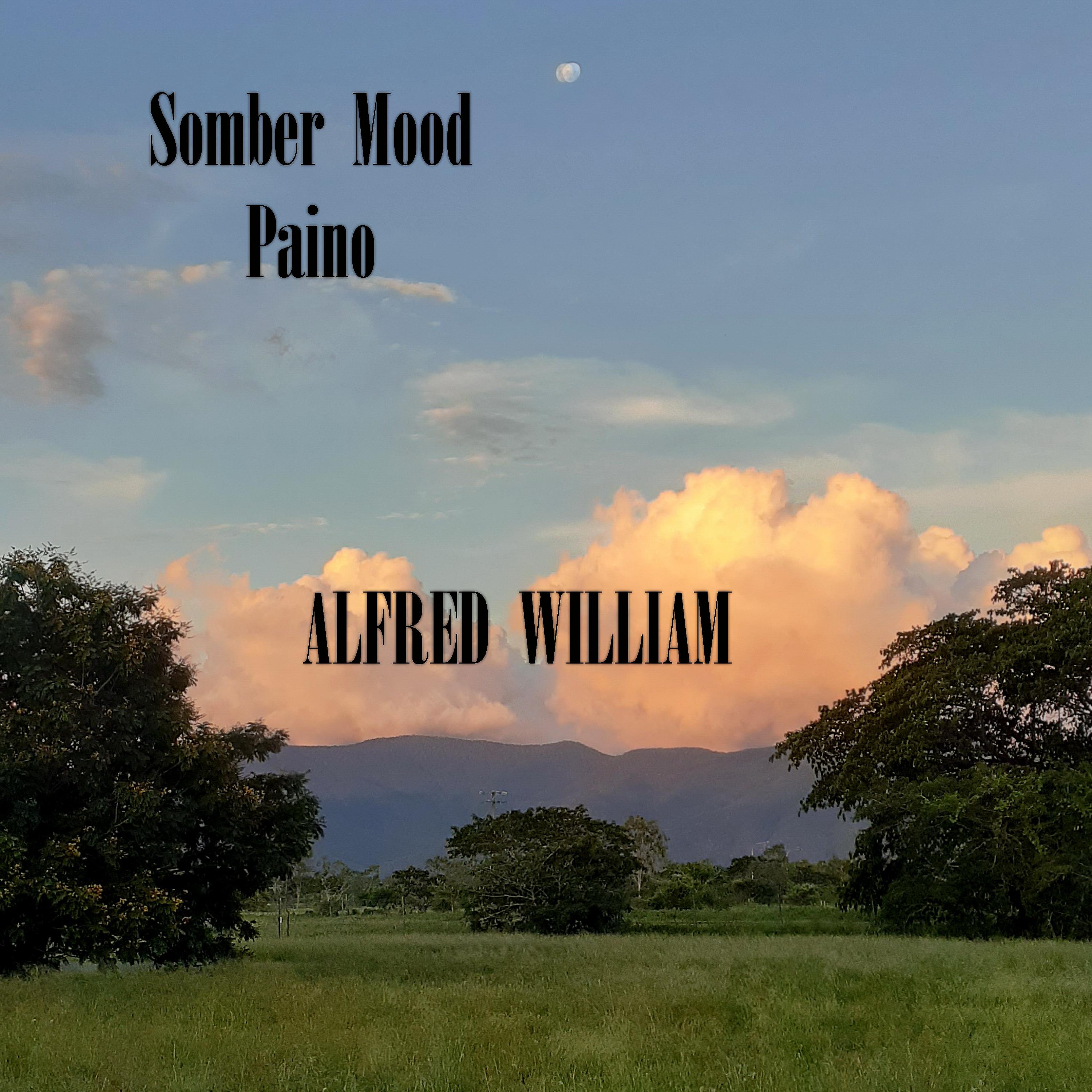 Постер альбома Somber Mood Piano
