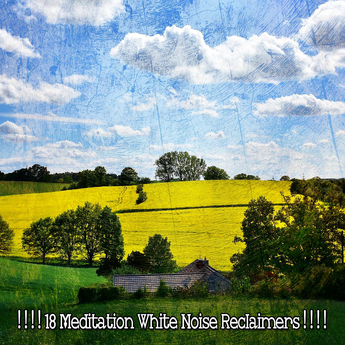 Постер альбома ! ! ! ! 18 медитаций для восстановления белого шума! ! ! !