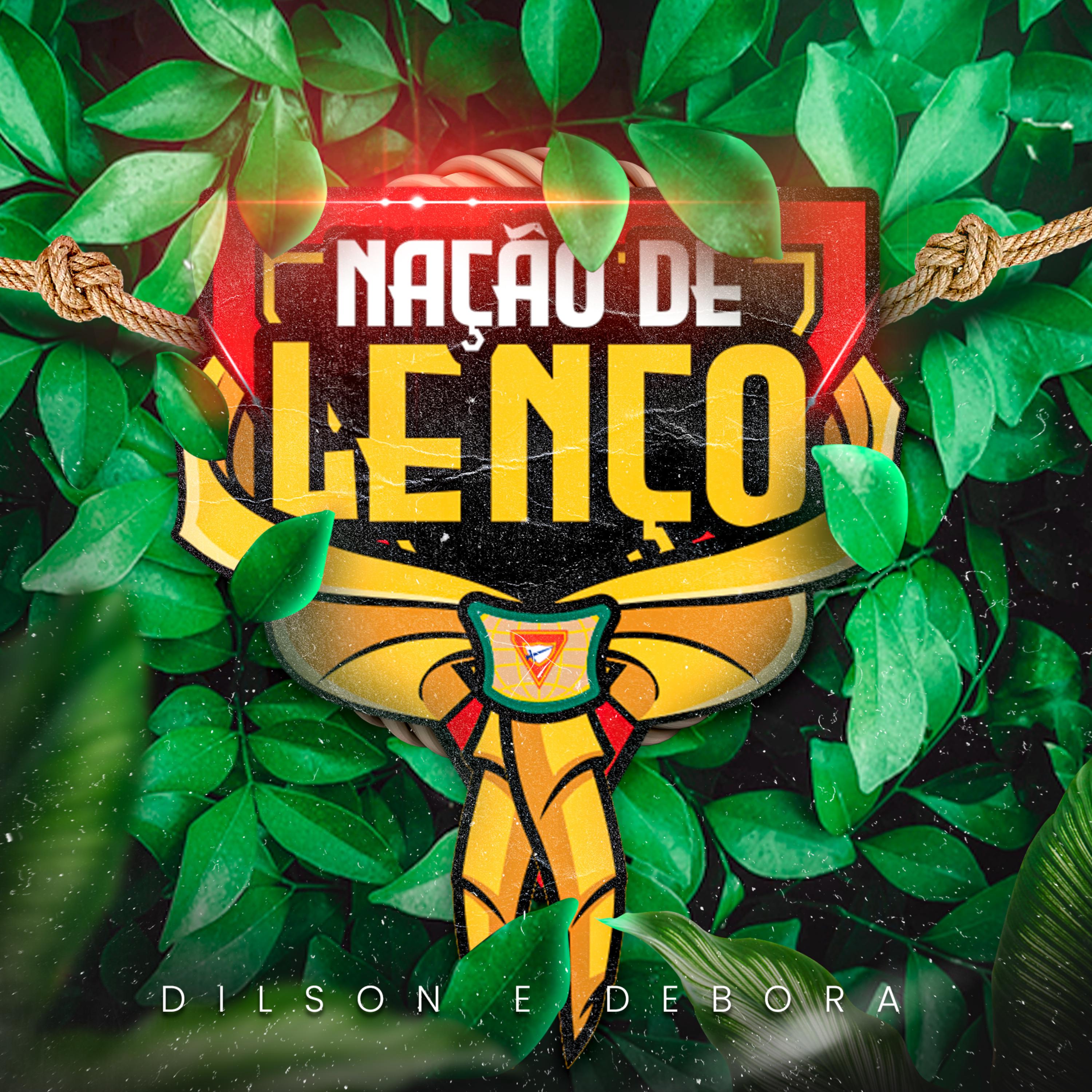 Постер альбома Nação de Lenço (Desbravadores)