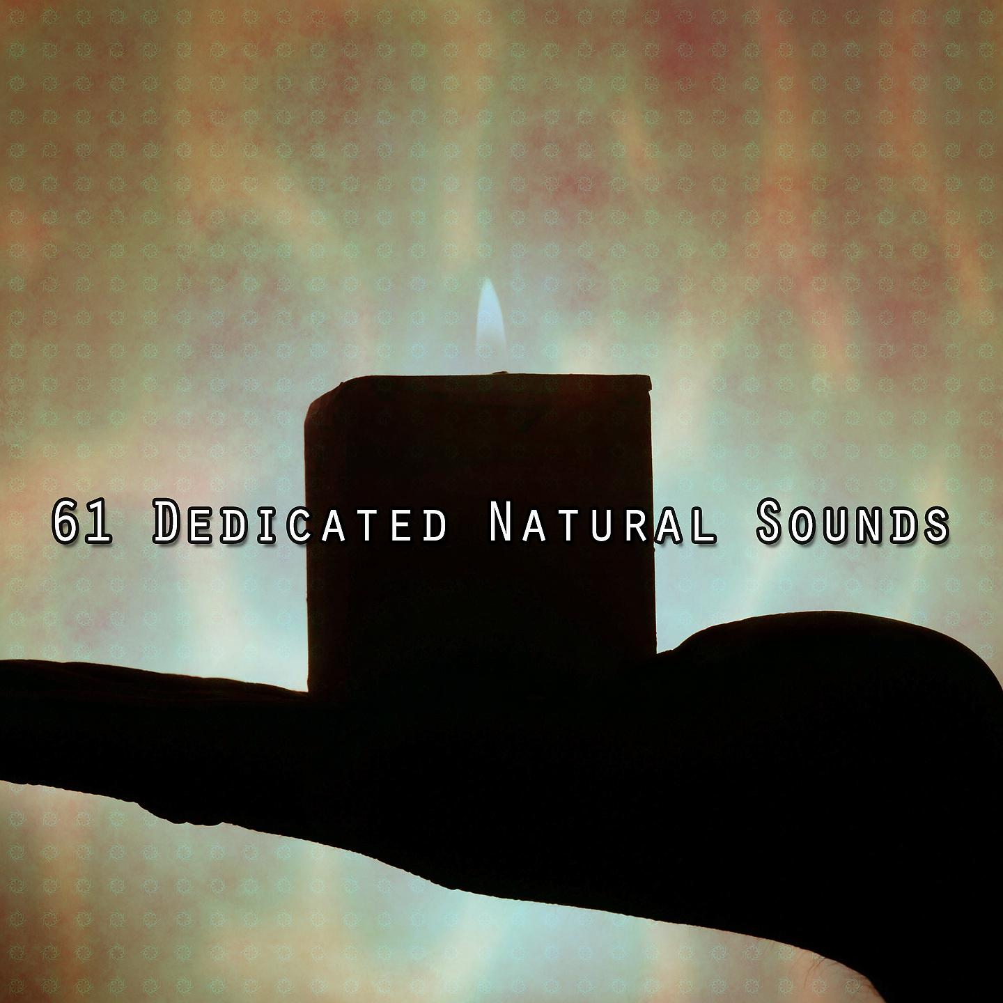 Постер альбома 61 специальный звук природы