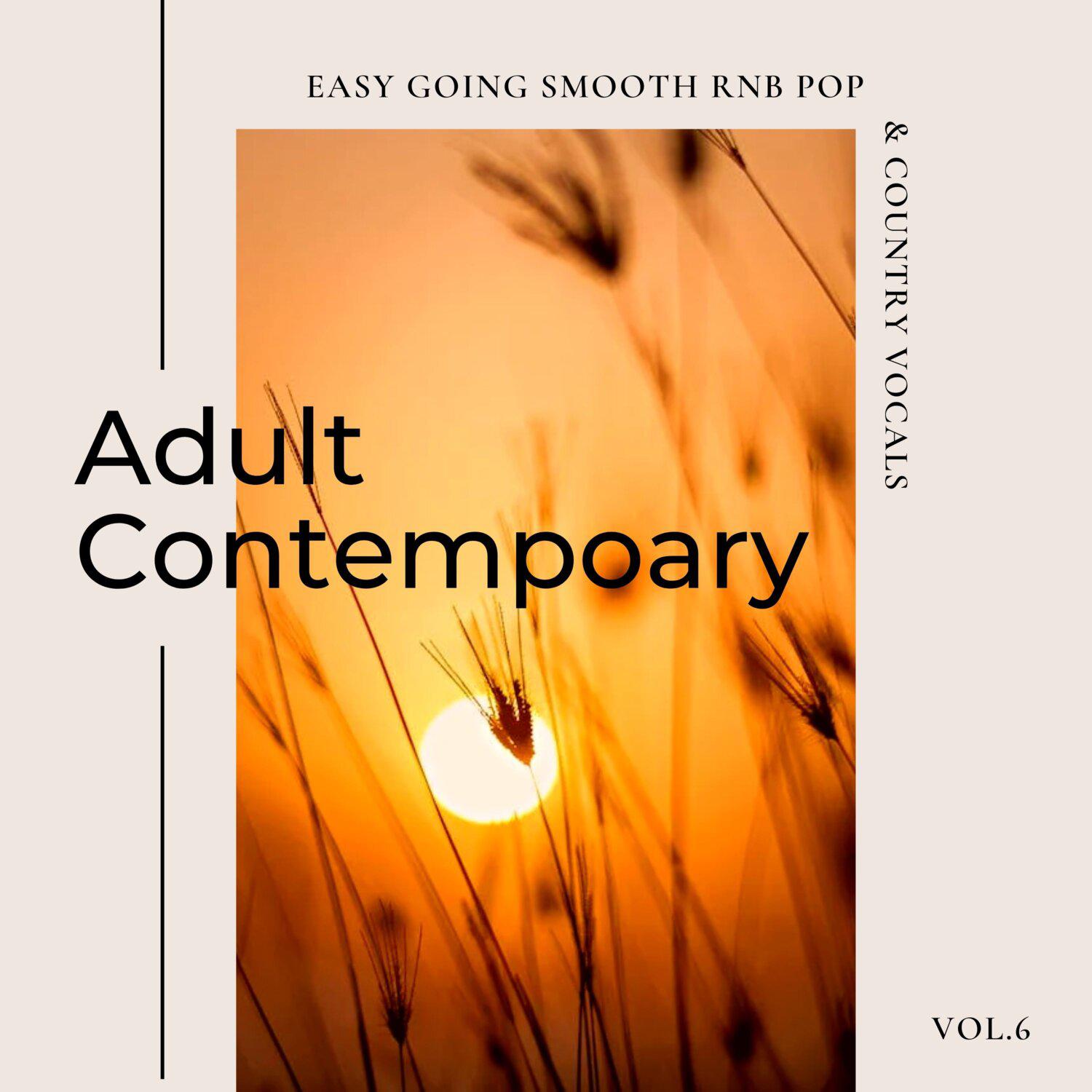 Постер альбома Adult Contemporary: Easy Going Smooth Rnb Pop & Country Vocals, Vol. 06