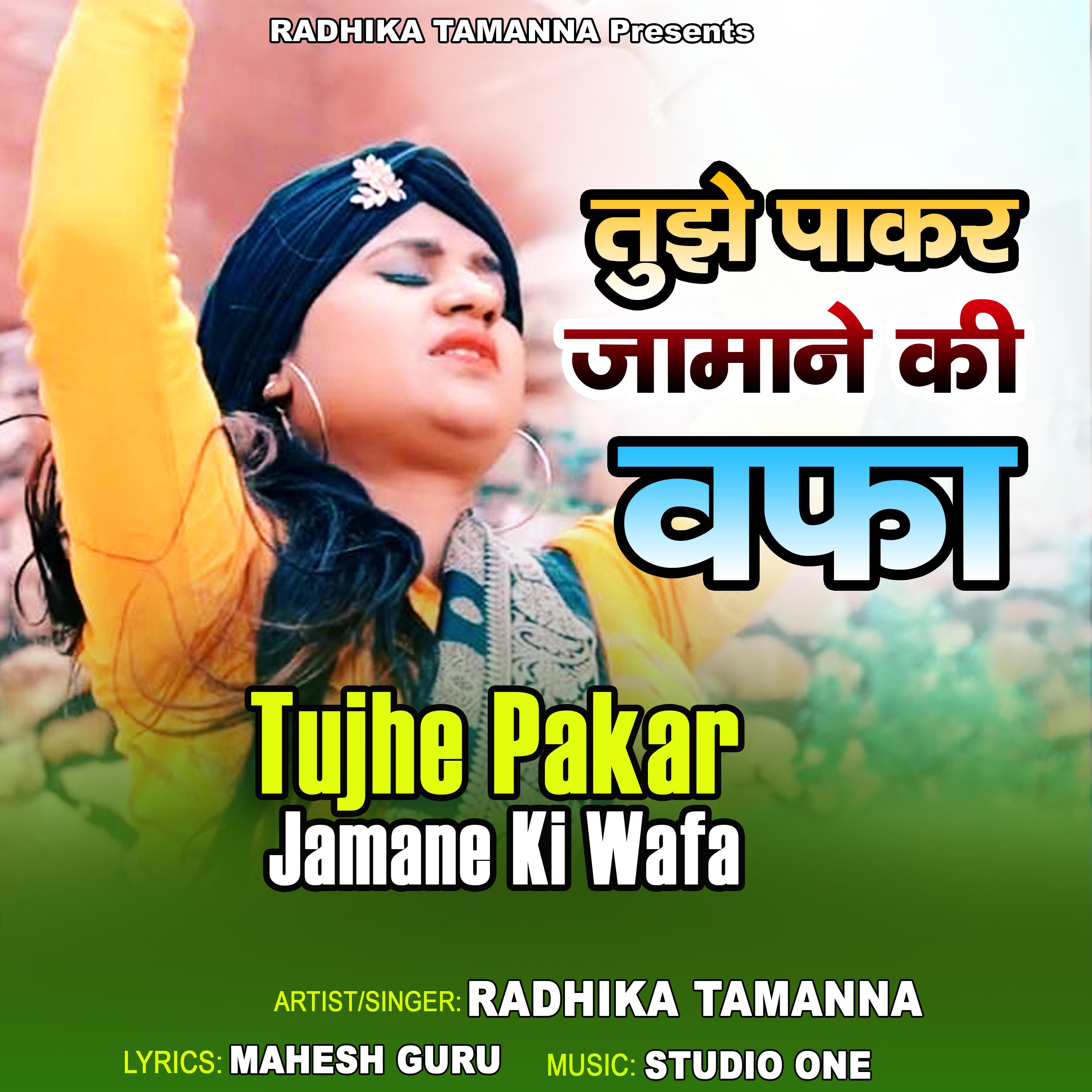 Постер альбома Tujhe Pakar Jamane Ki Wafa