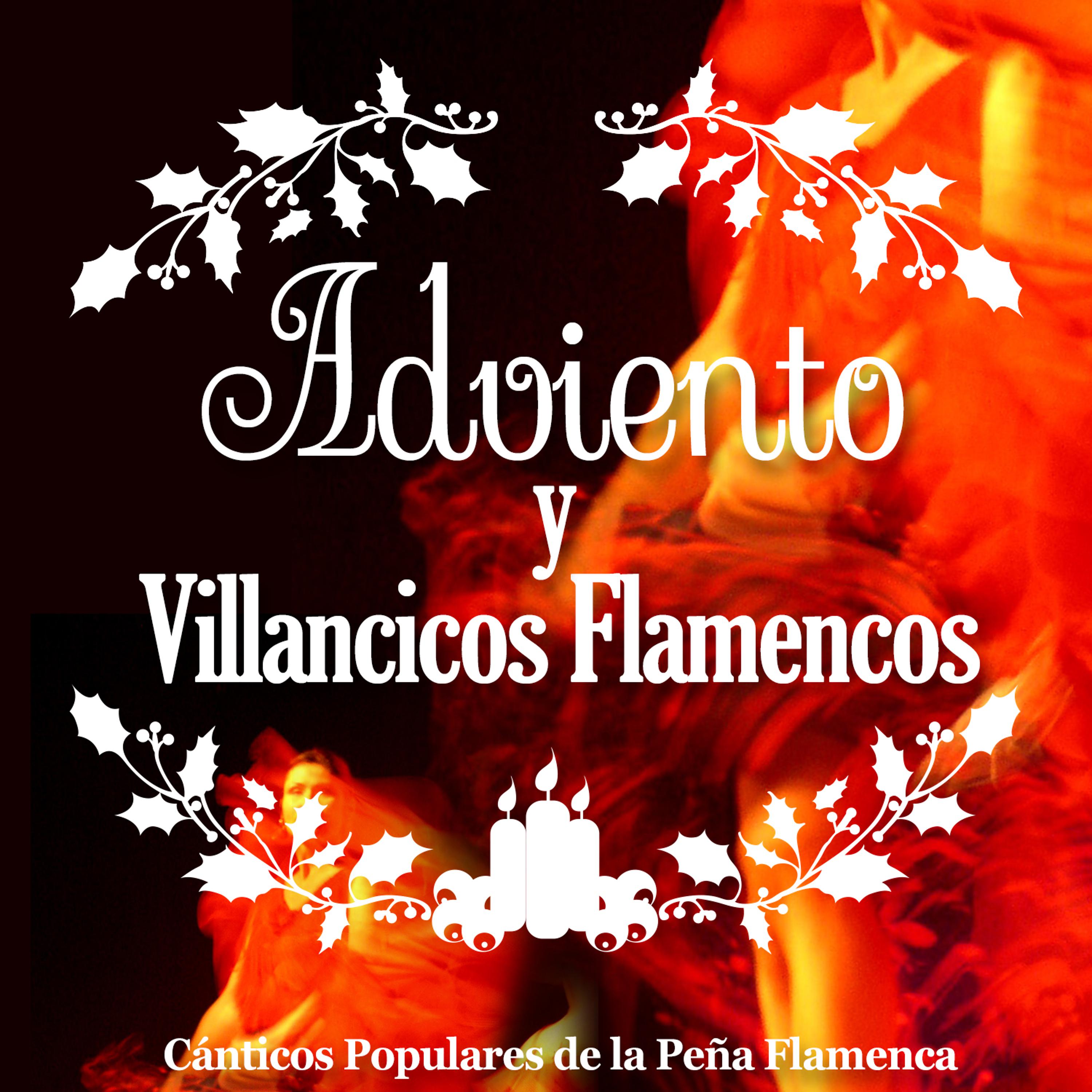 Постер альбома Adviento y Villancicos Flamencos. Cánticos Populares de la Peña Flamenca