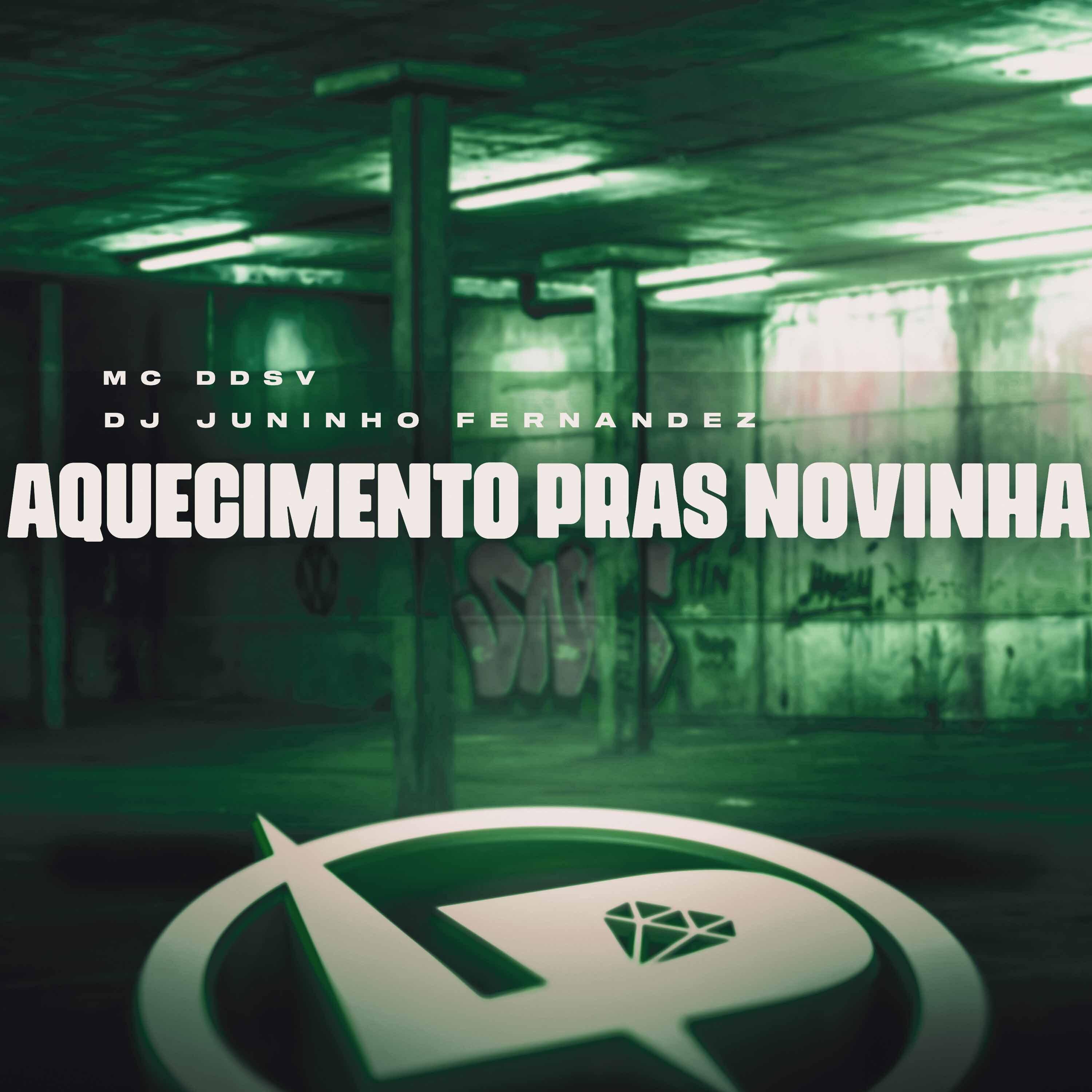 Постер альбома Aquecimento Pras Novinha
