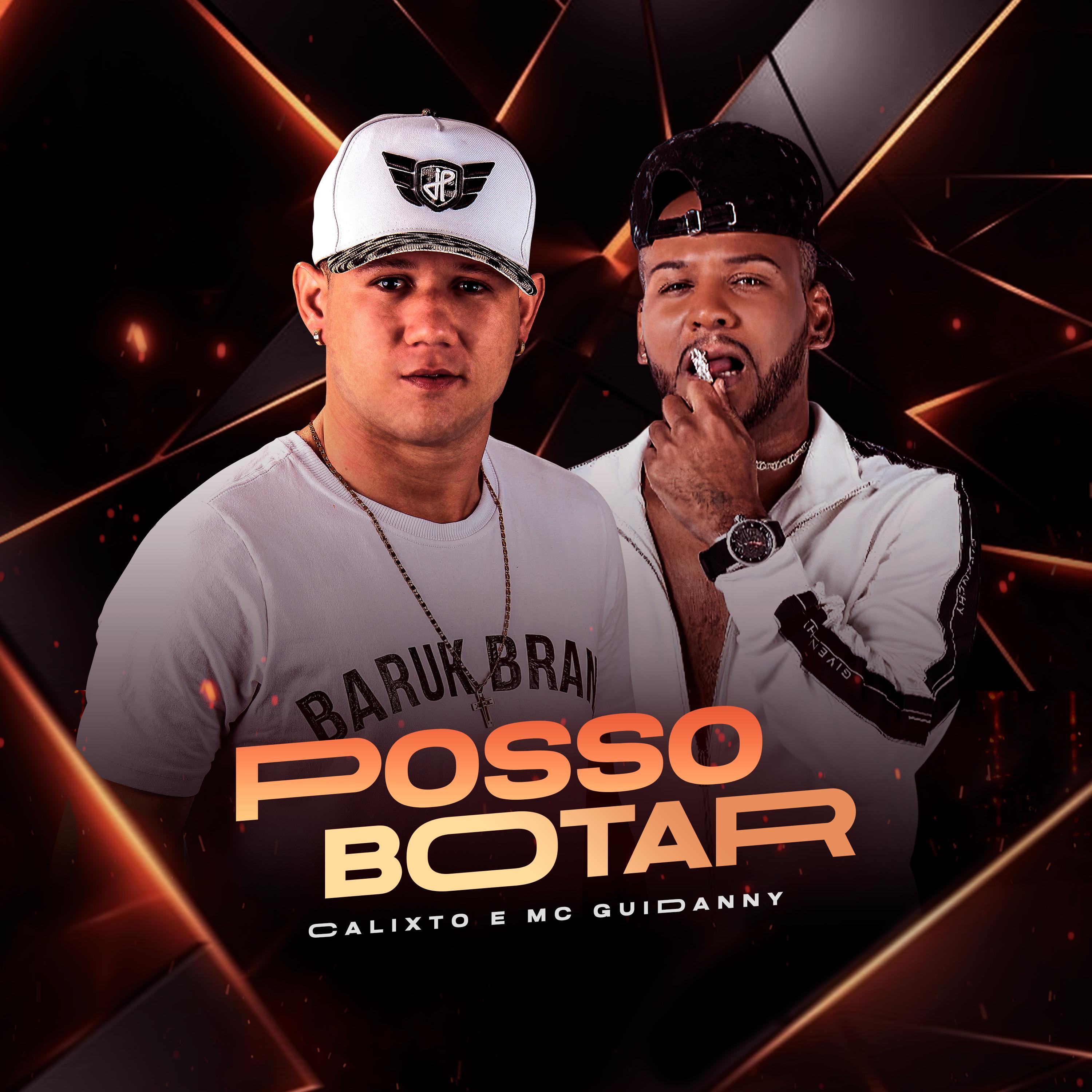 Постер альбома Posso Botar