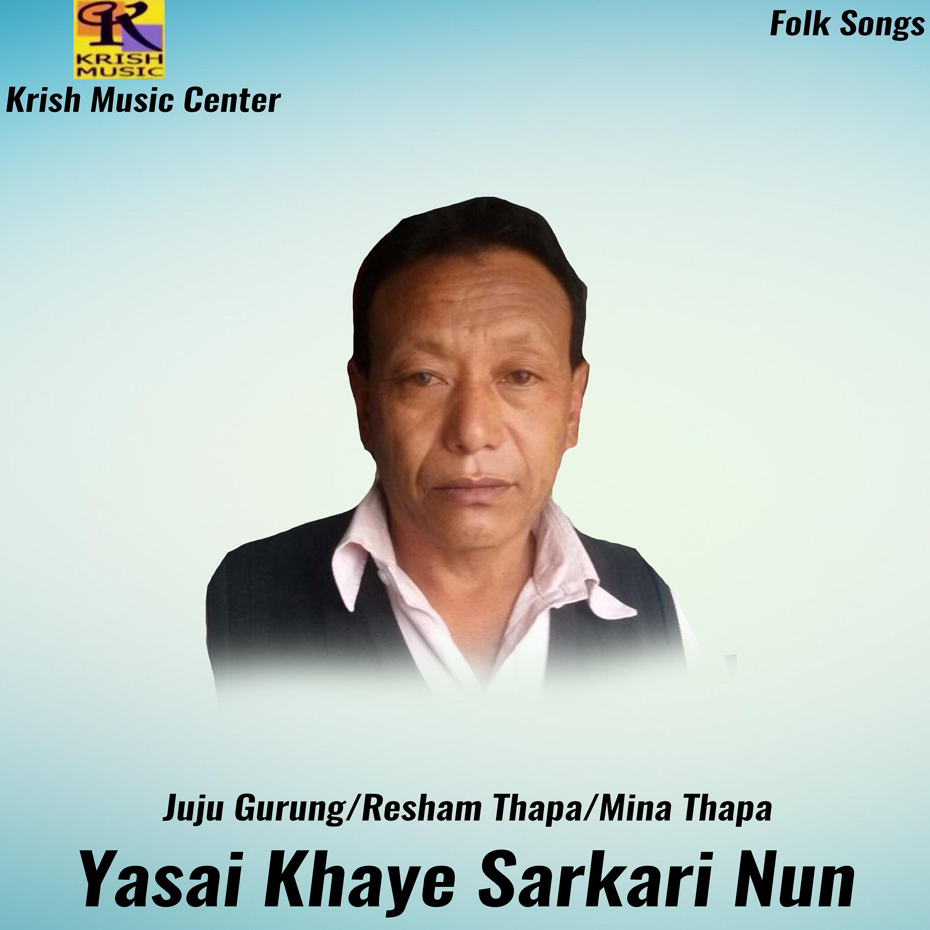 Постер альбома Yasai Khaye Sarkari Nun