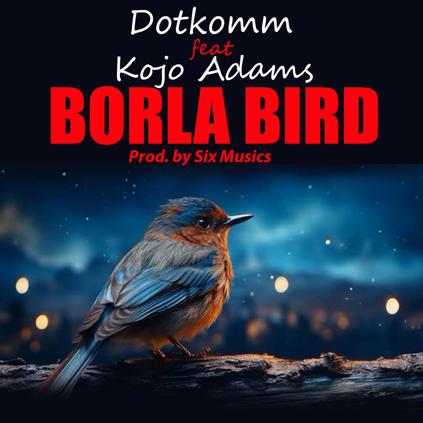 Постер альбома Borla Bird