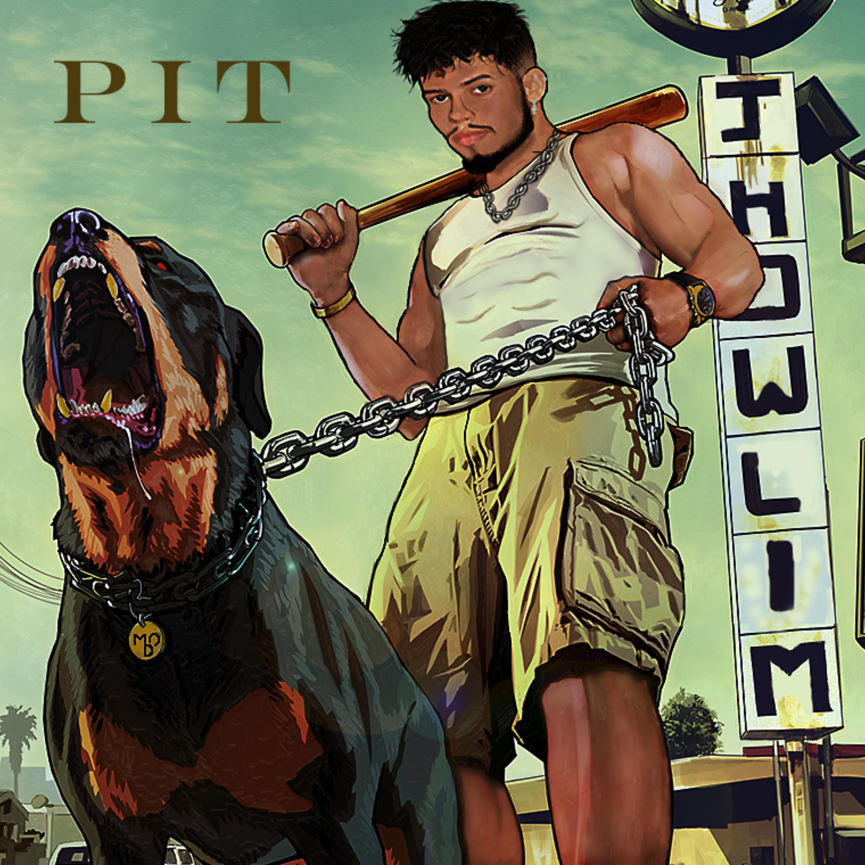 Постер альбома Pit