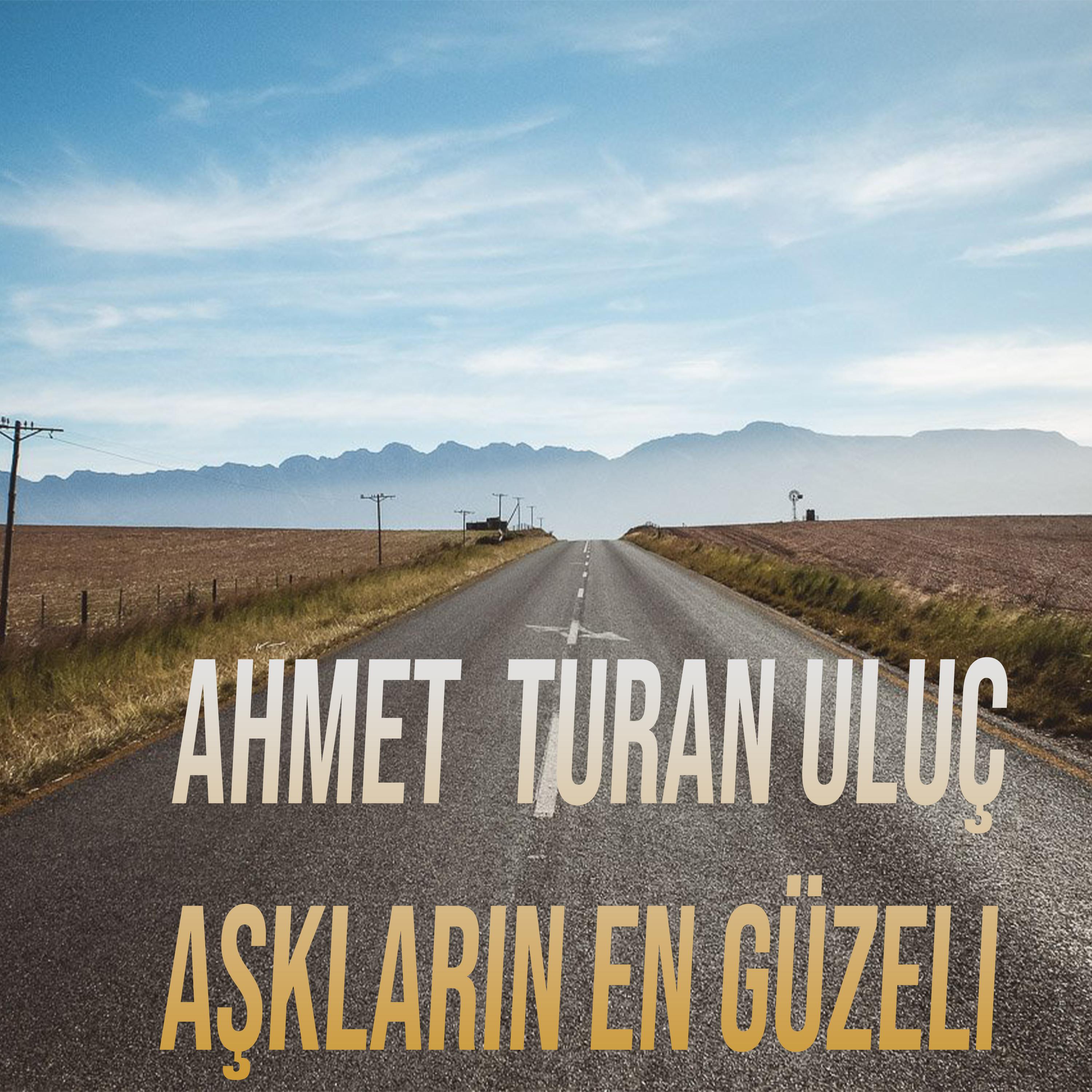 Постер альбома Aşkların En Güzeli