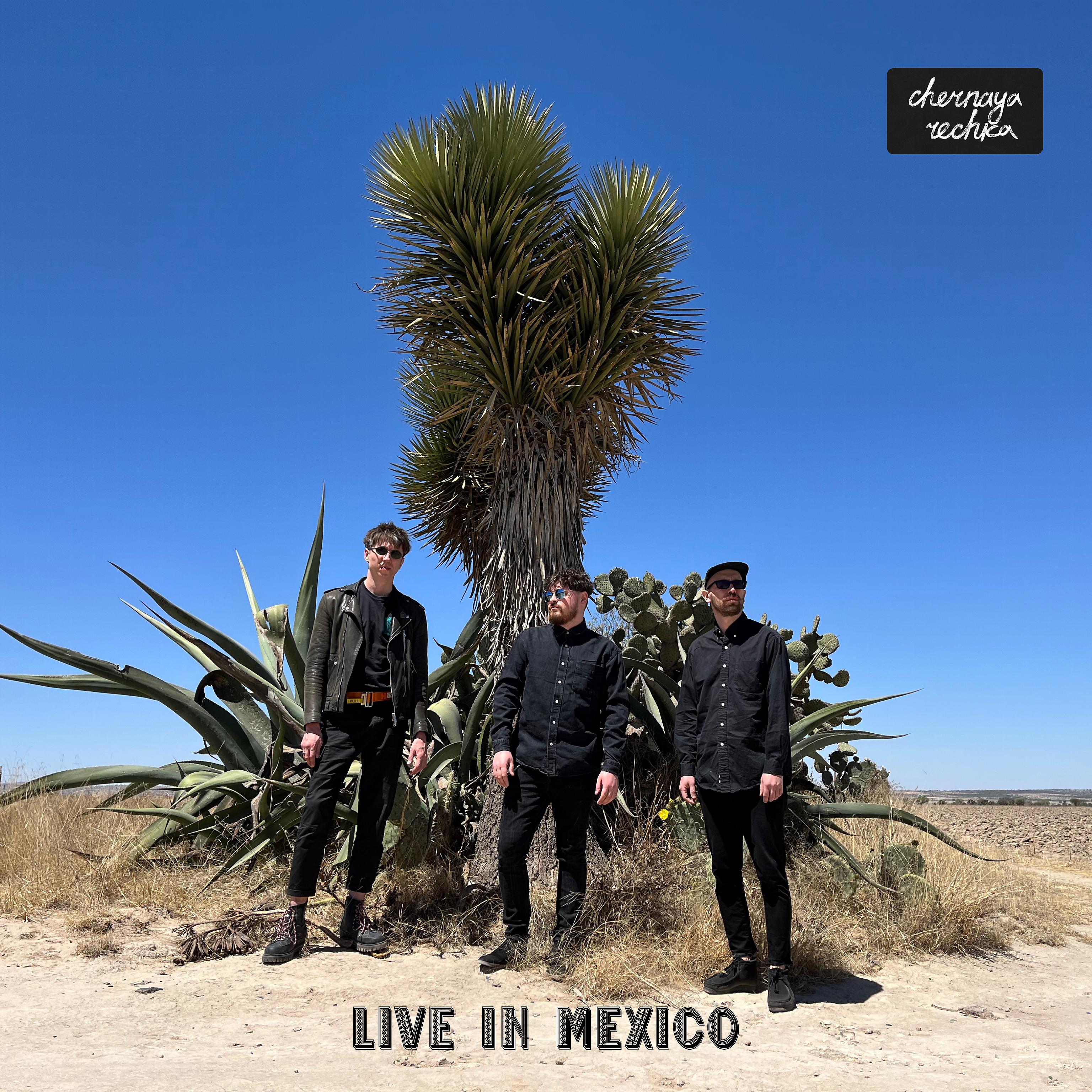 Постер альбома Live in Mexico
