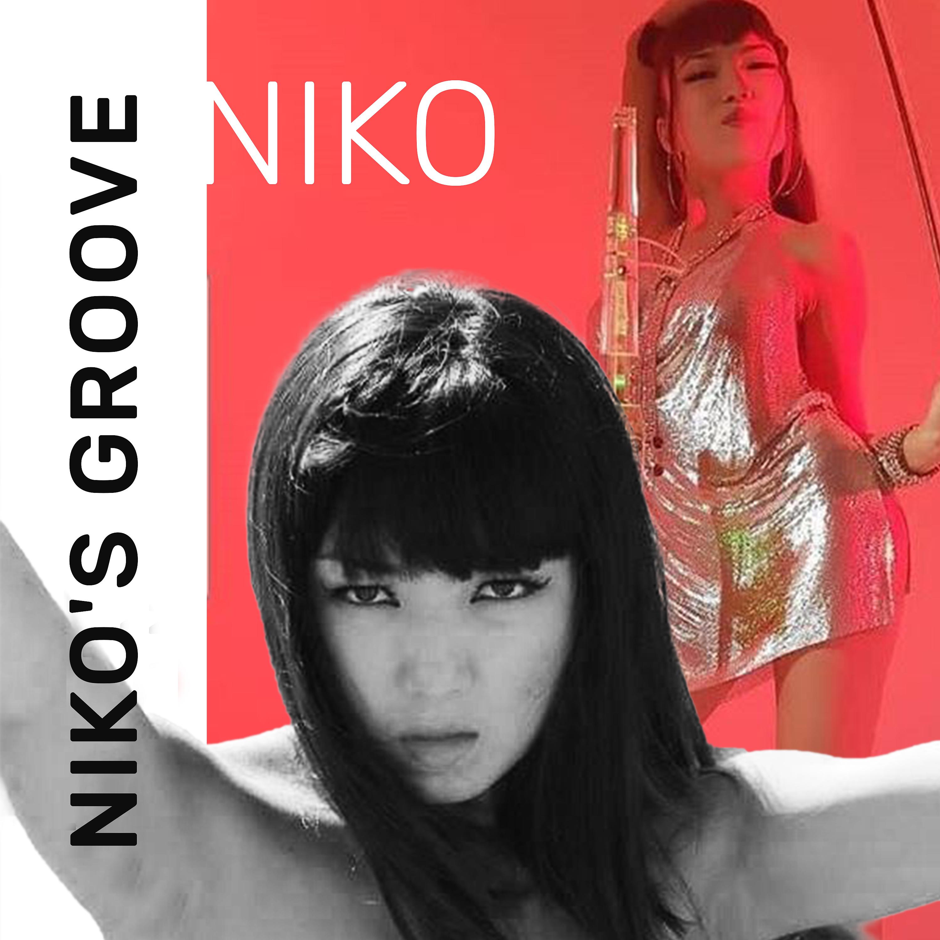 Постер альбома Niko's Groove