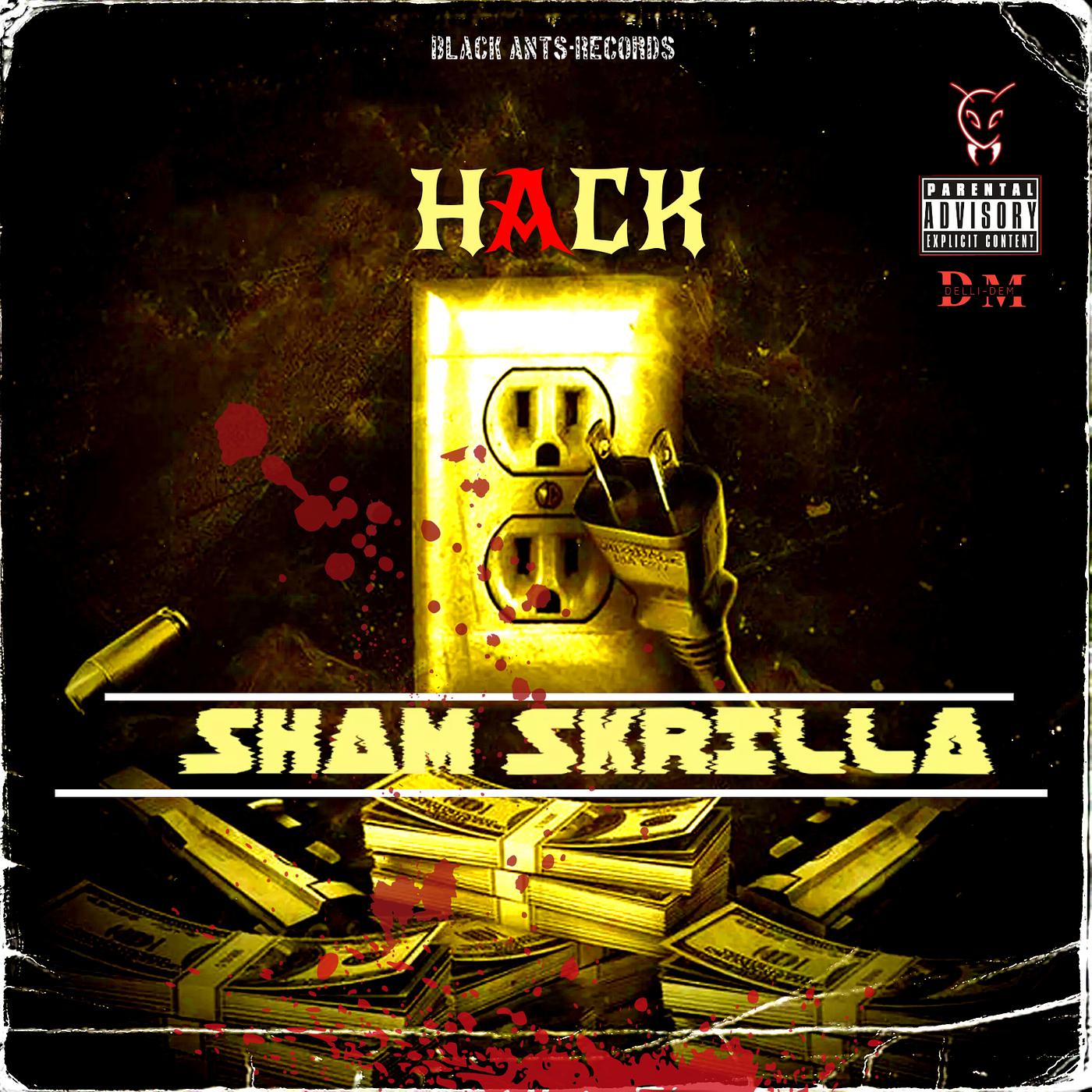 Постер альбома Sham Skrilla Hack