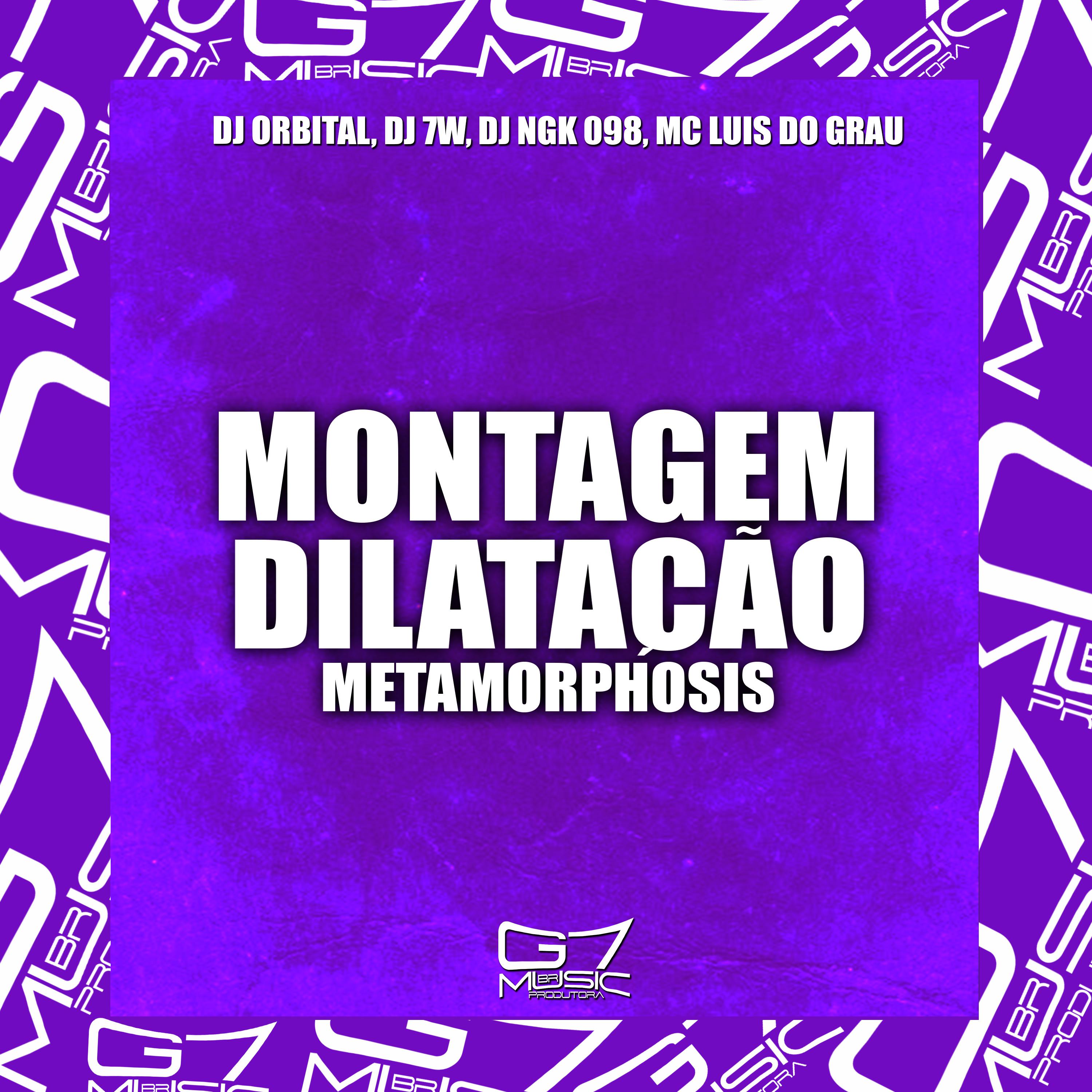 Постер альбома Montagem Dilatação Metamorphosis