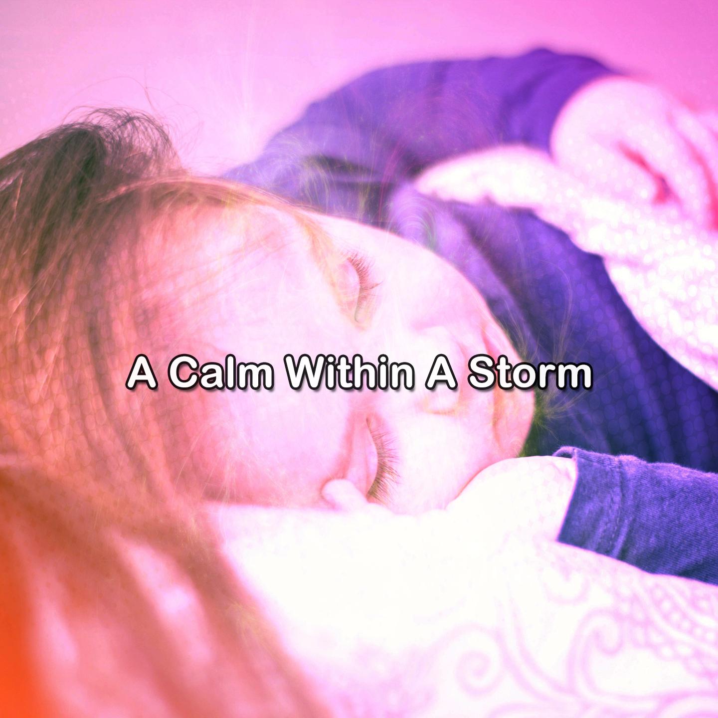 Постер альбома A Calm Within A Storm