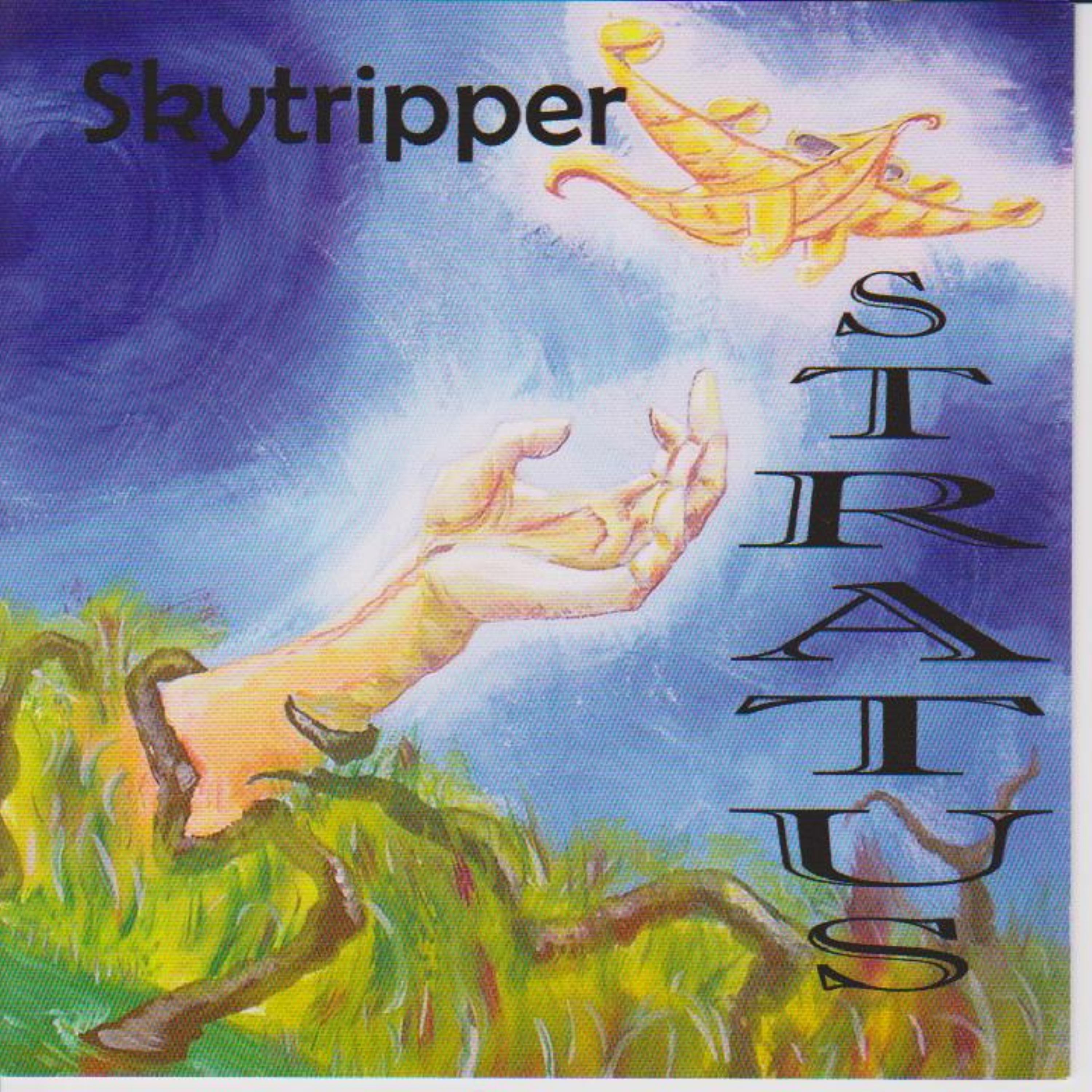 Постер альбома Skytripper
