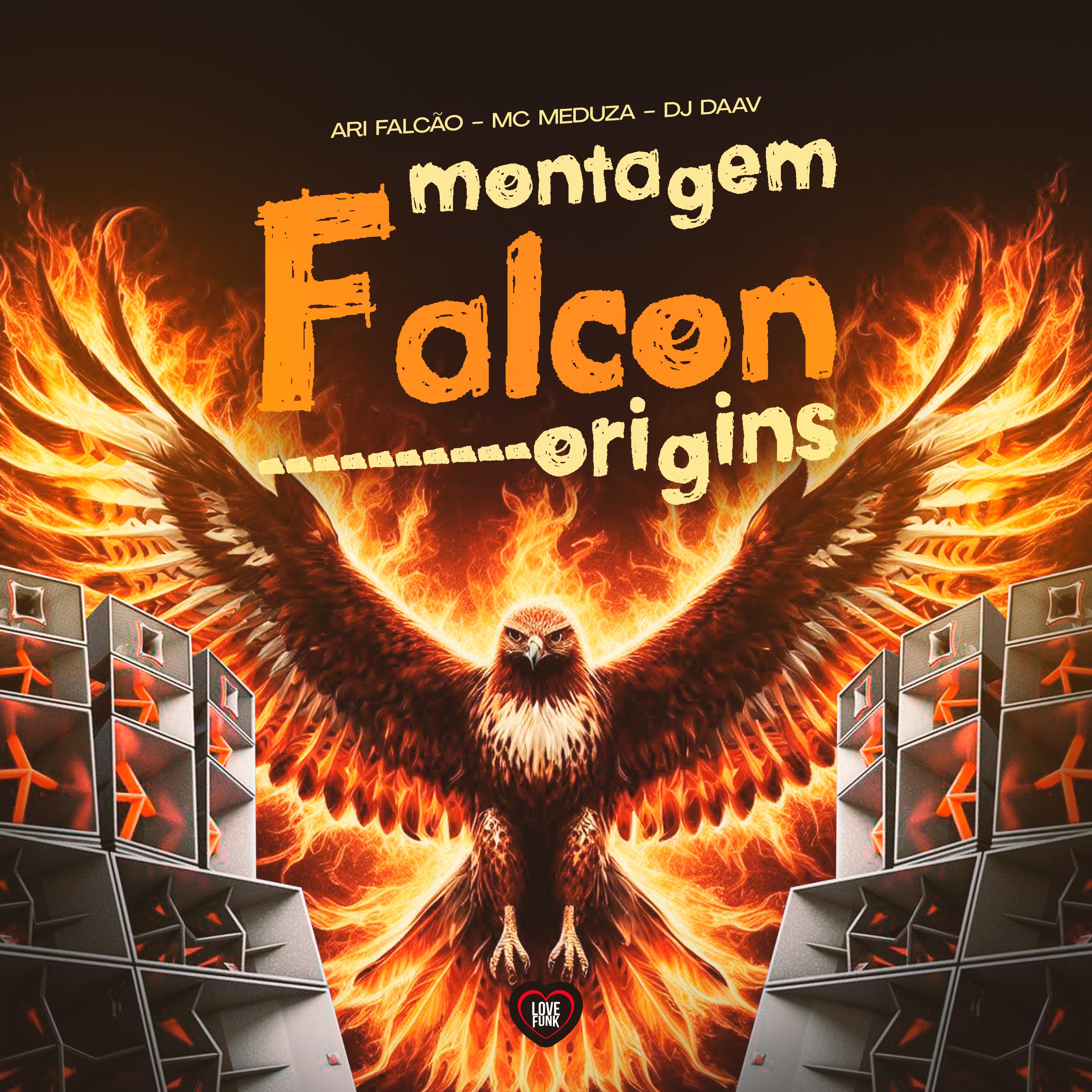 Постер альбома Montagem Falcon Origins