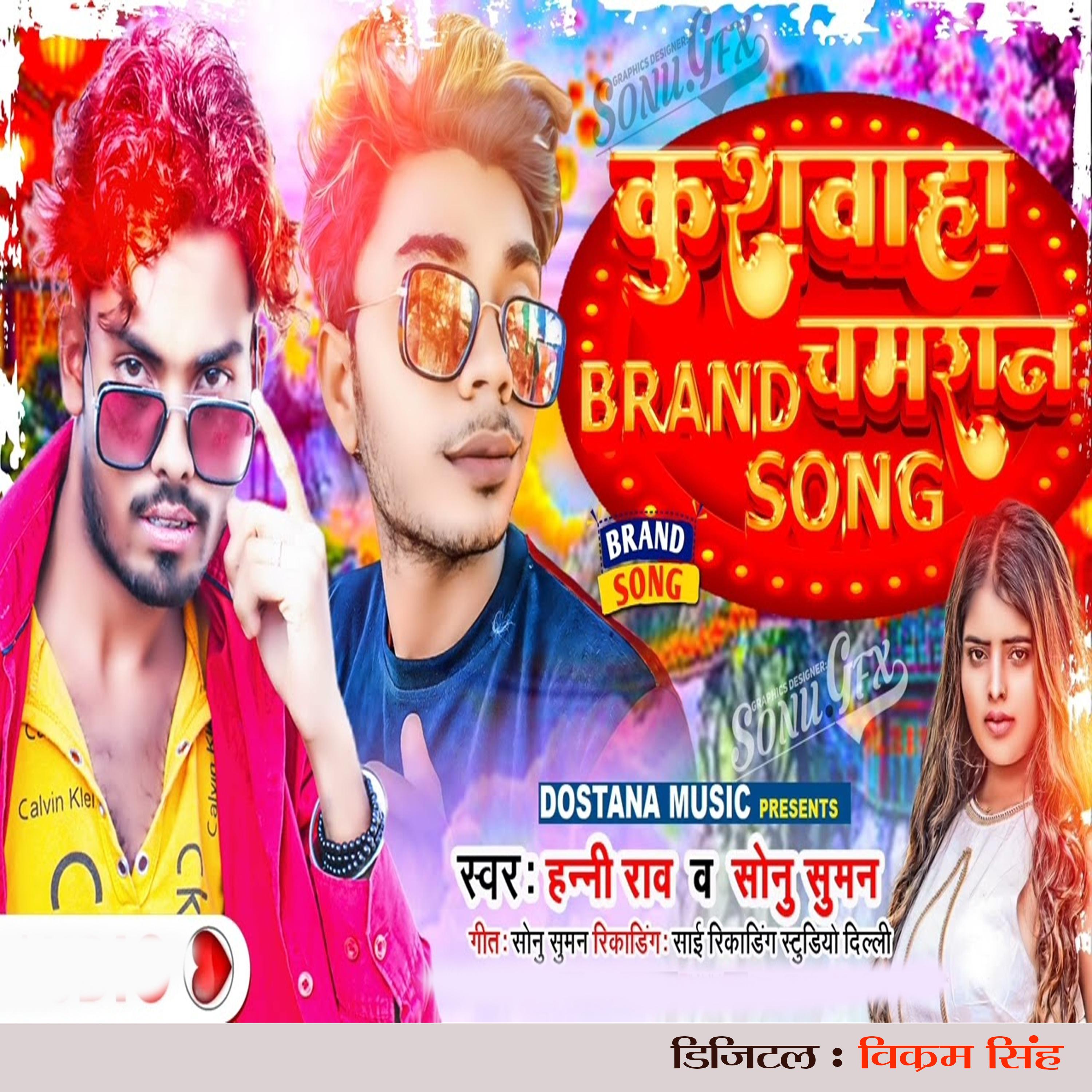 Постер альбома Kushwaha Brand Chamran Song