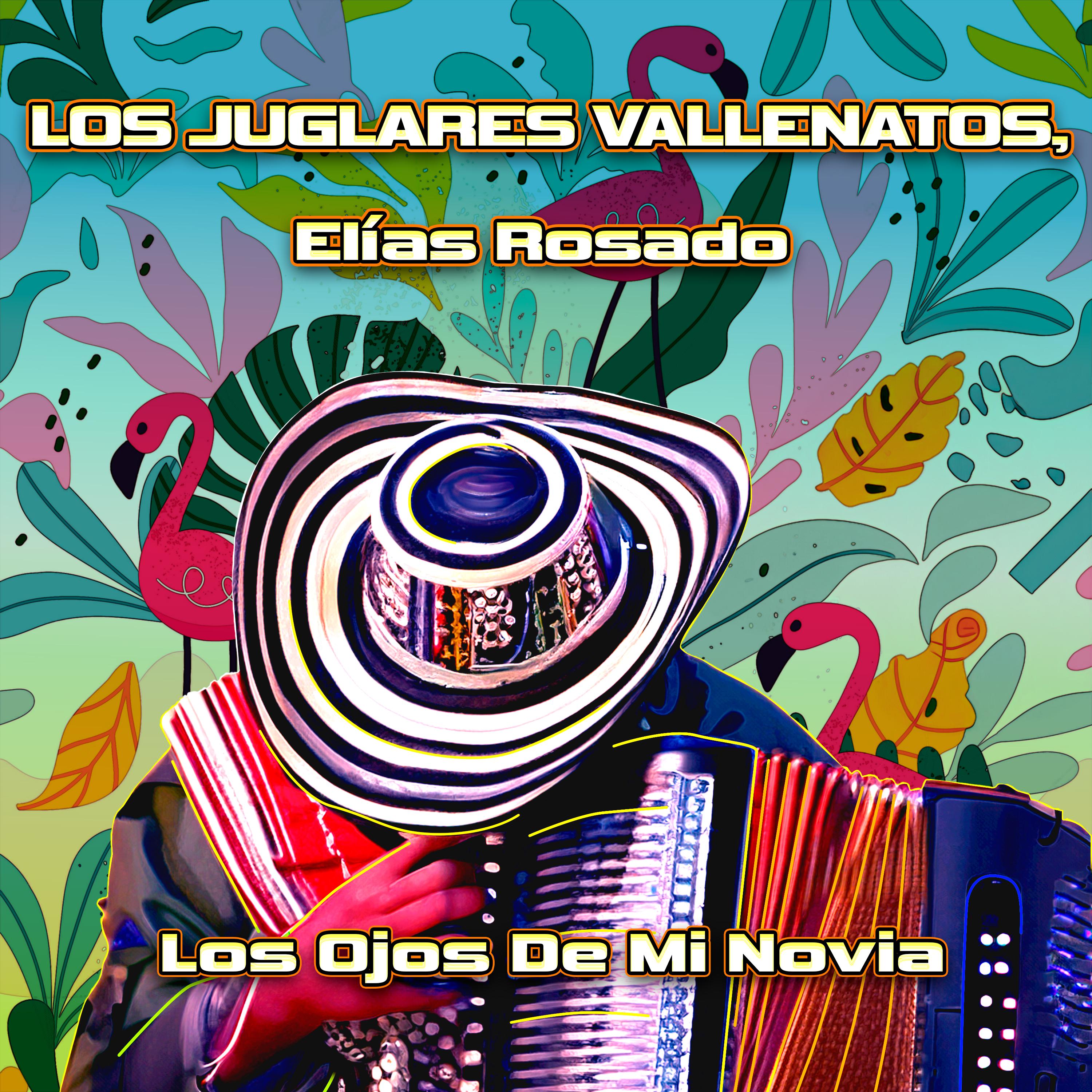 Постер альбома Los Ojos De Mi Novia