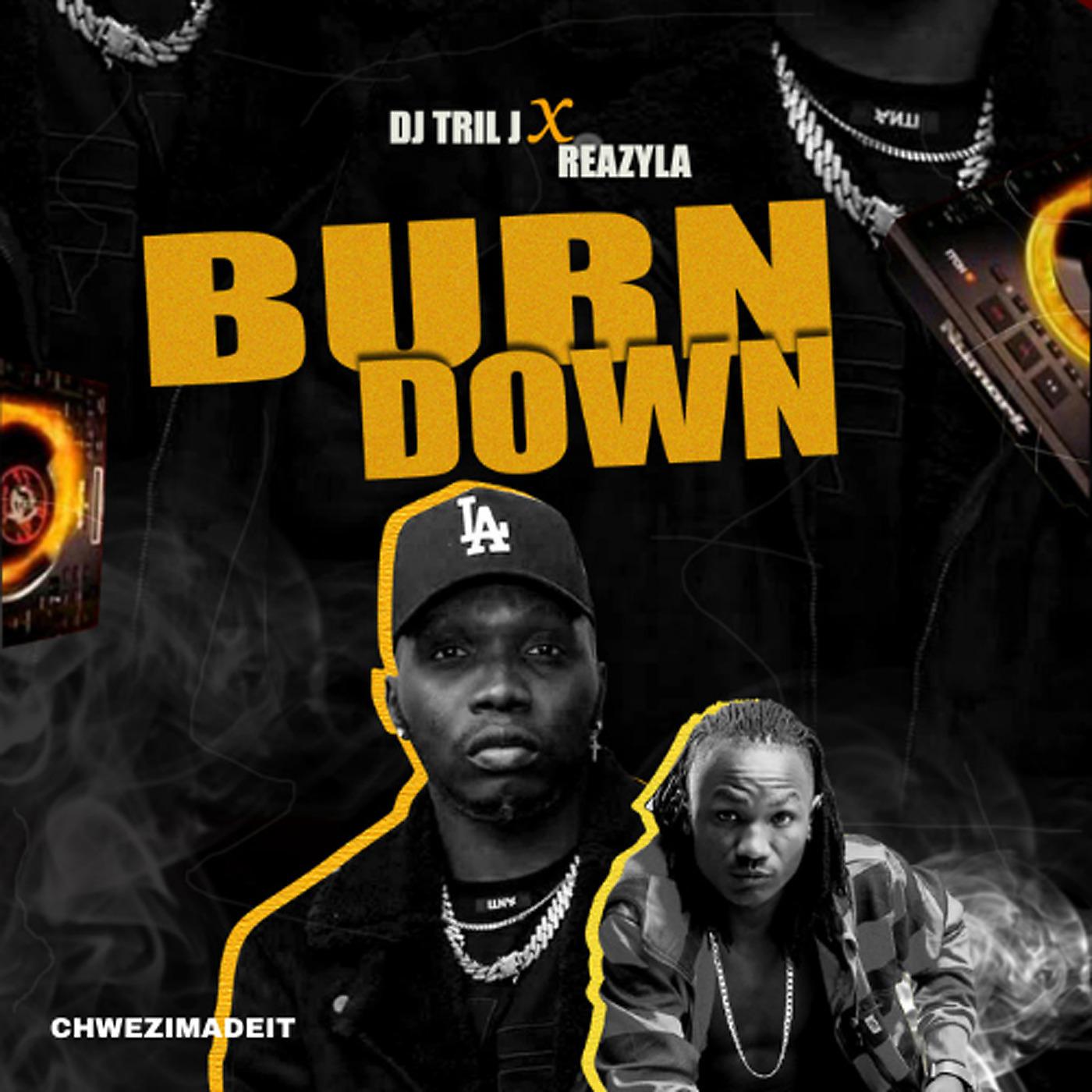 Постер альбома Burn Down