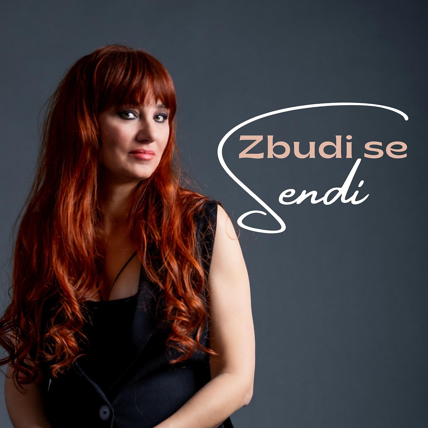Постер альбома Zbudi se