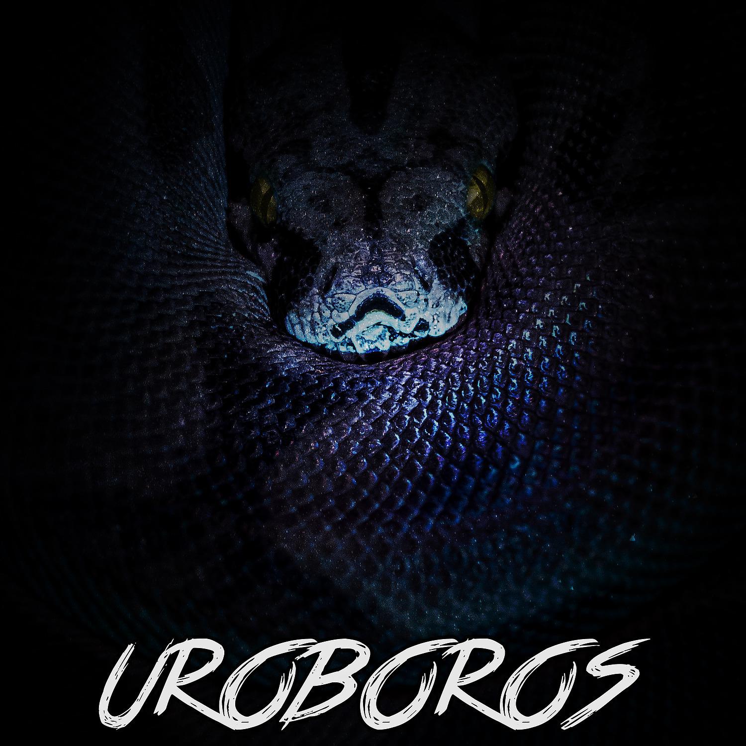 Постер альбома Uroboros