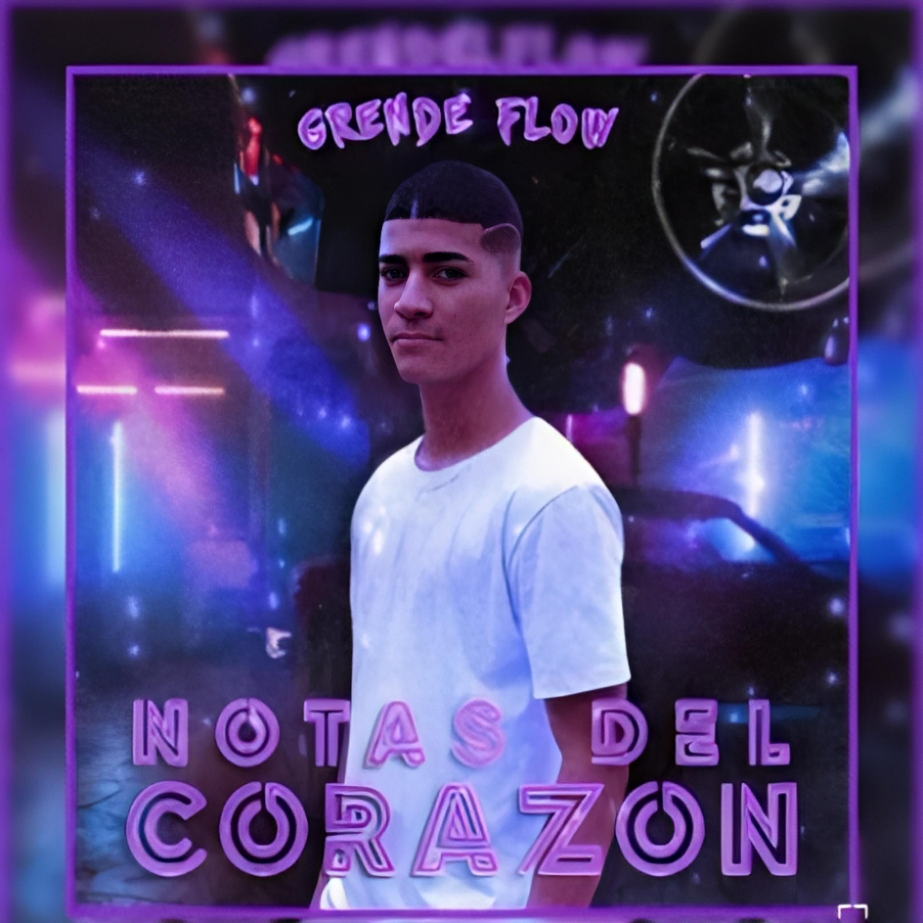 Постер альбома Notas del Corazon