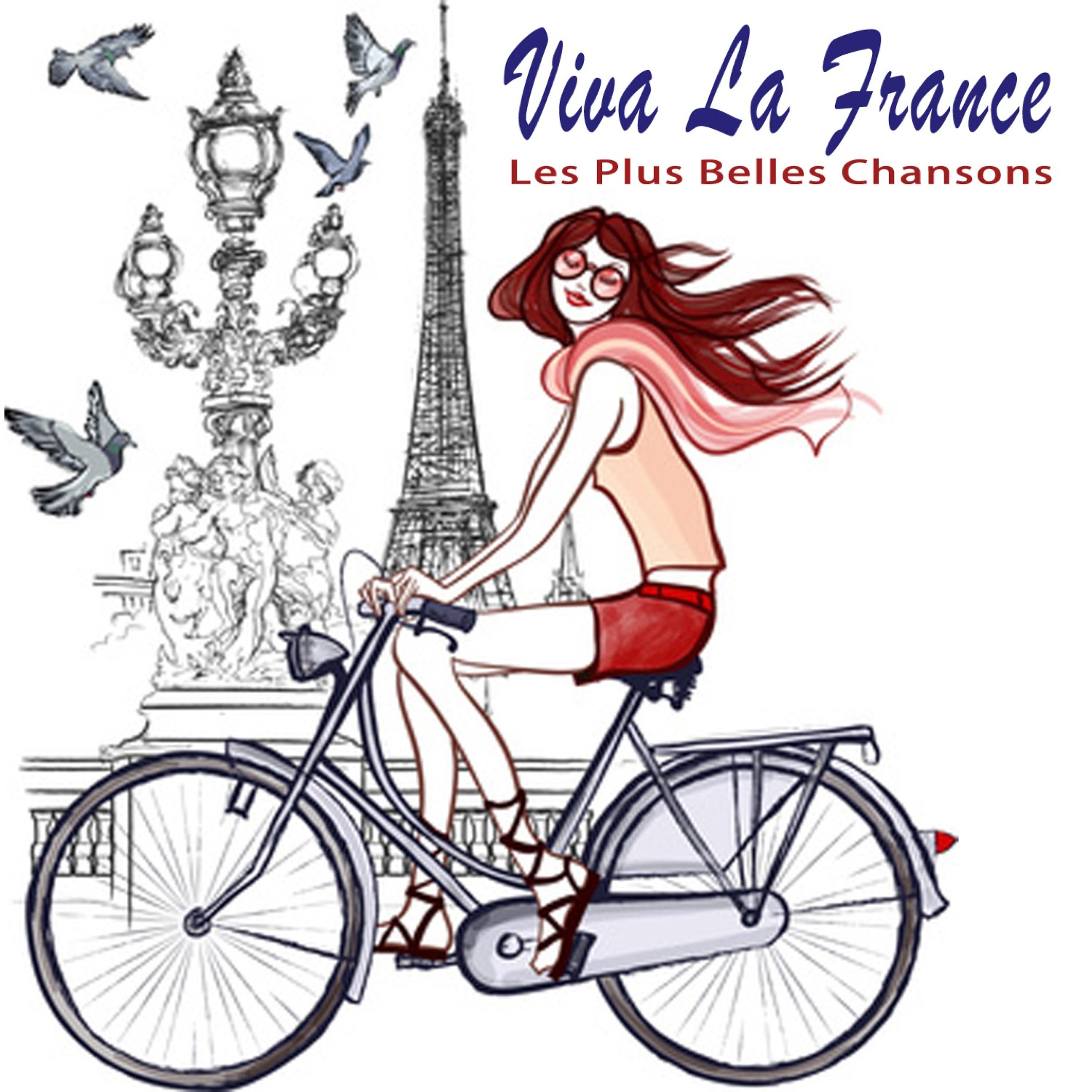 Постер альбома Vive la France