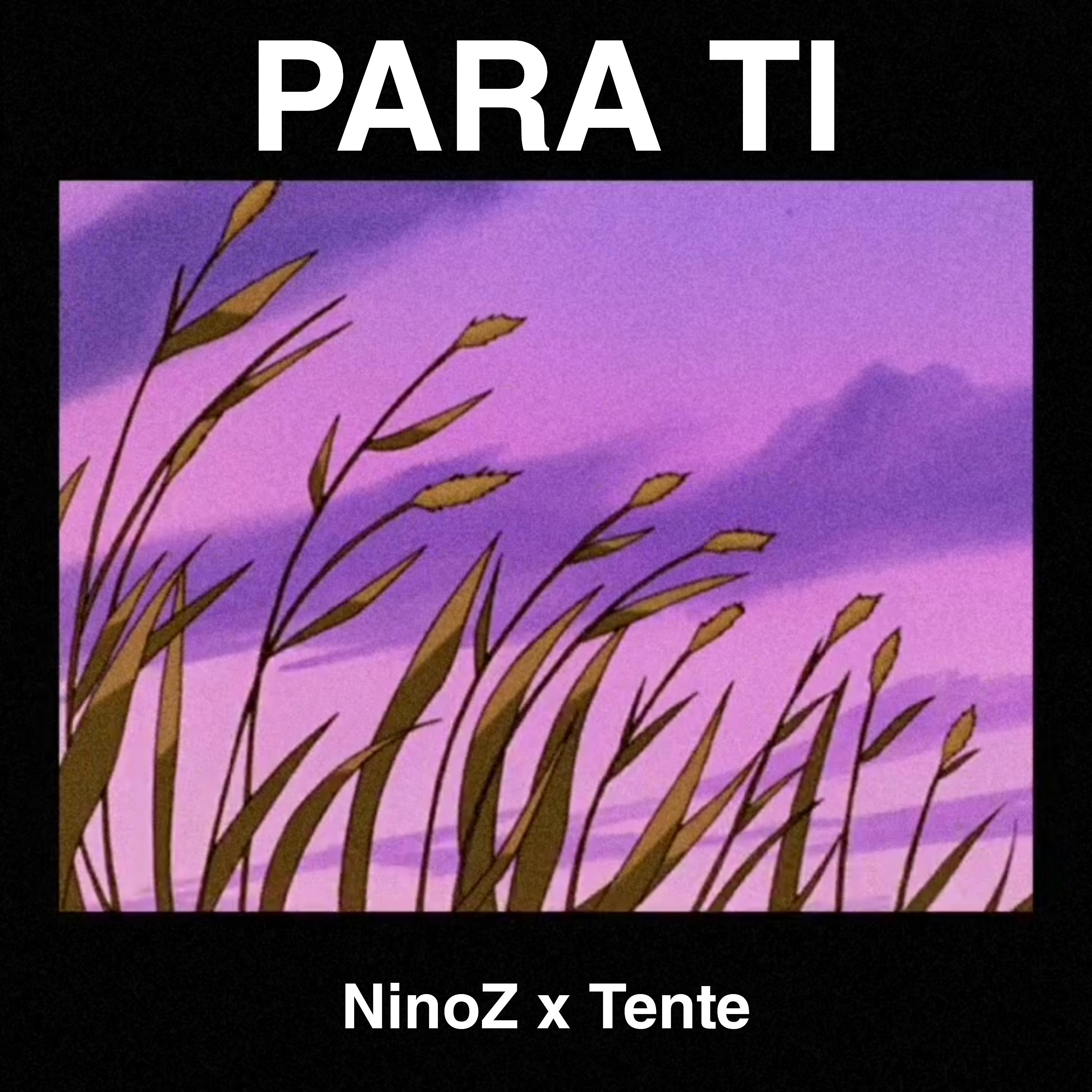 Постер альбома Para Ti