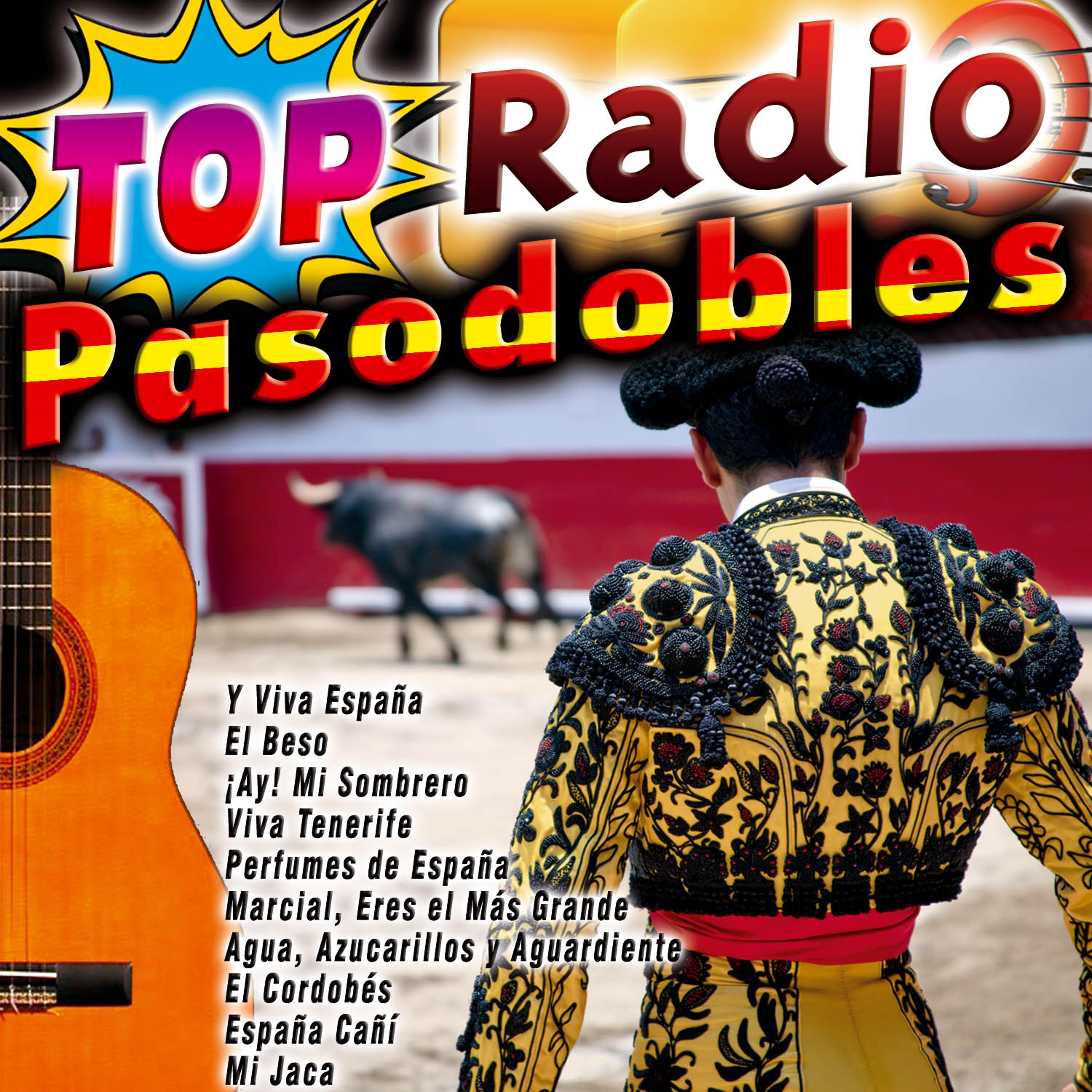 Постер альбома Top Radio Pasodobles