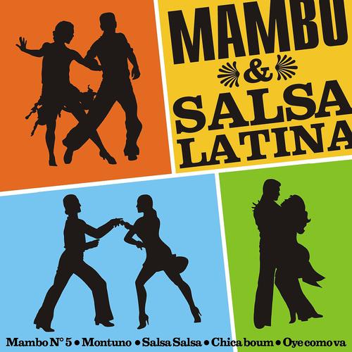 Постер альбома Mambo & Salsa Latina