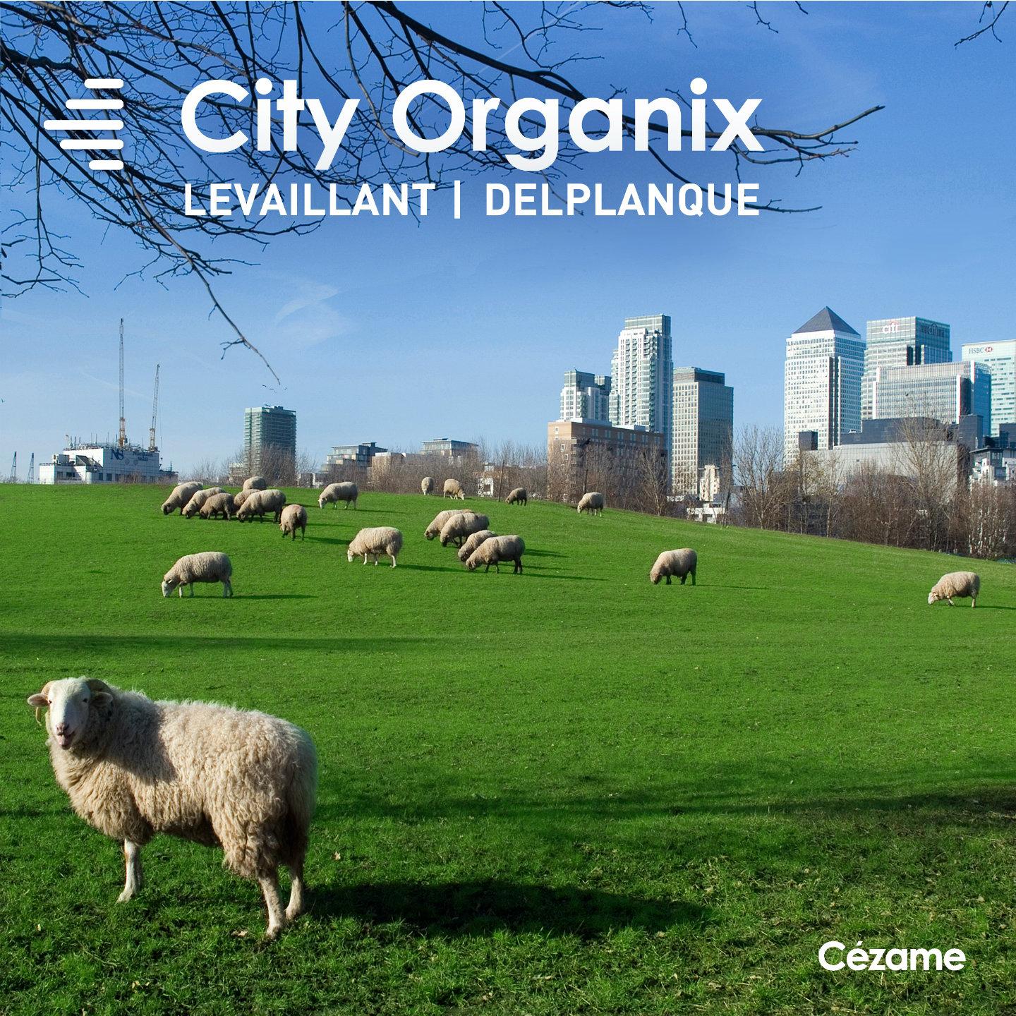 Постер альбома City Organix