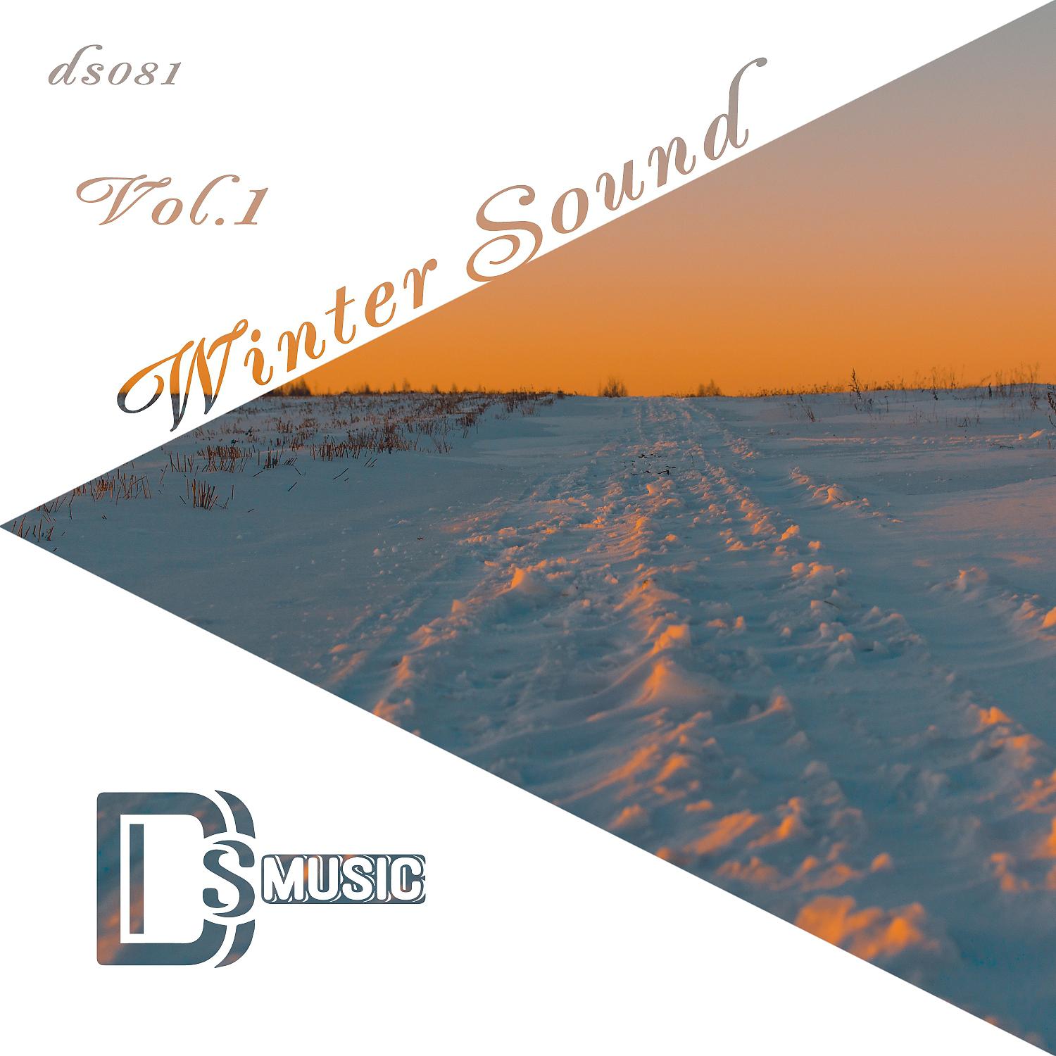 Постер альбома Winter Sound, Vol.1