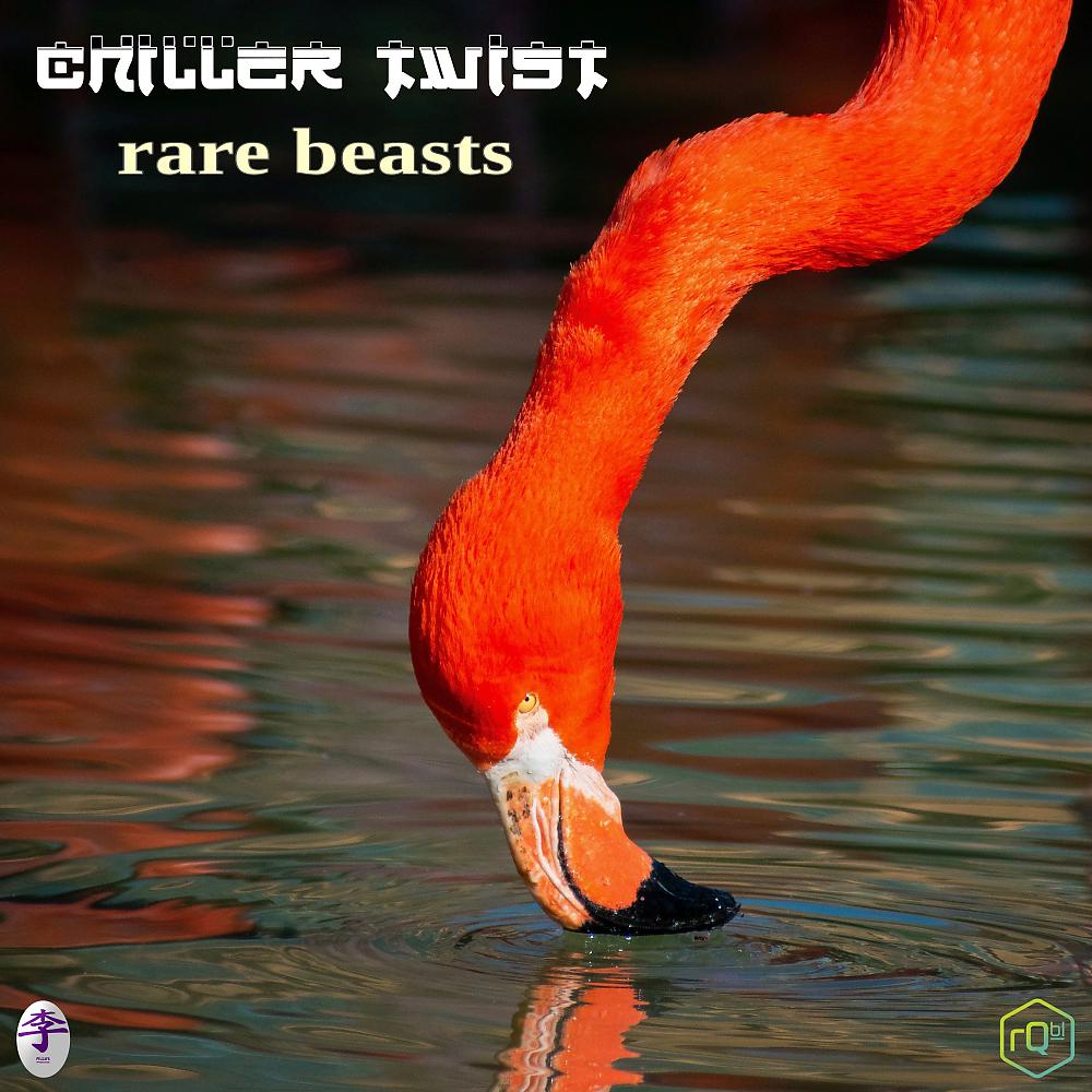 Постер альбома Rare Beasts