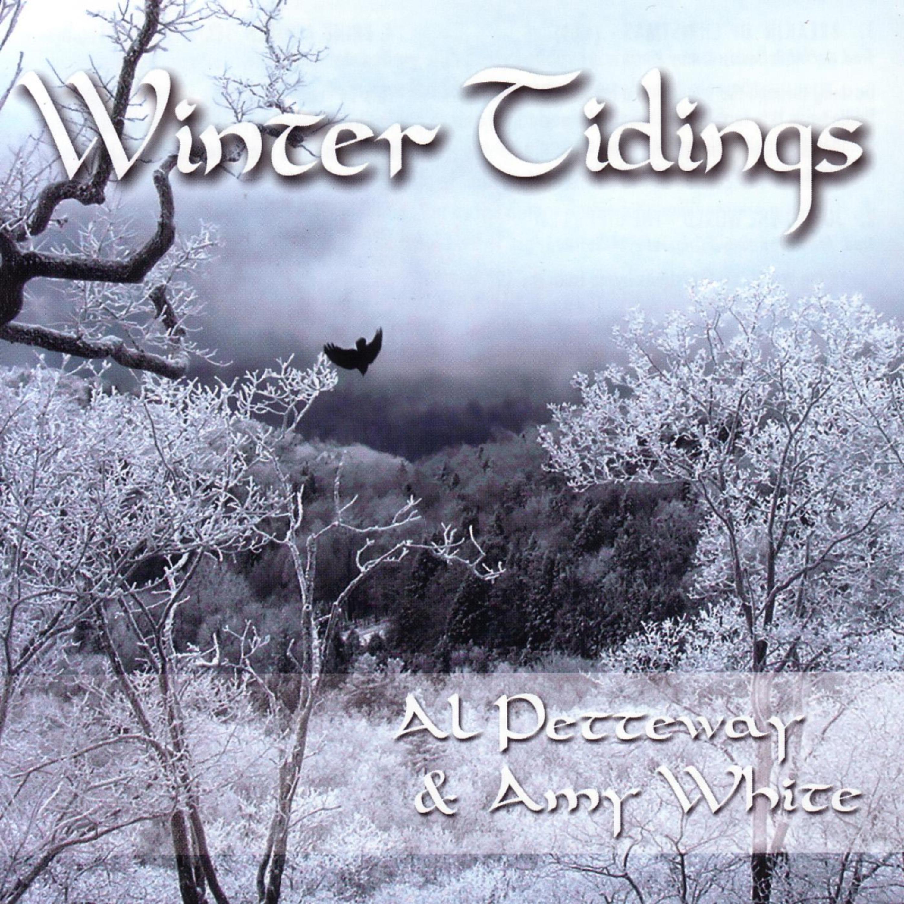 Постер альбома Winter Tidings: An Appalachian Christmas