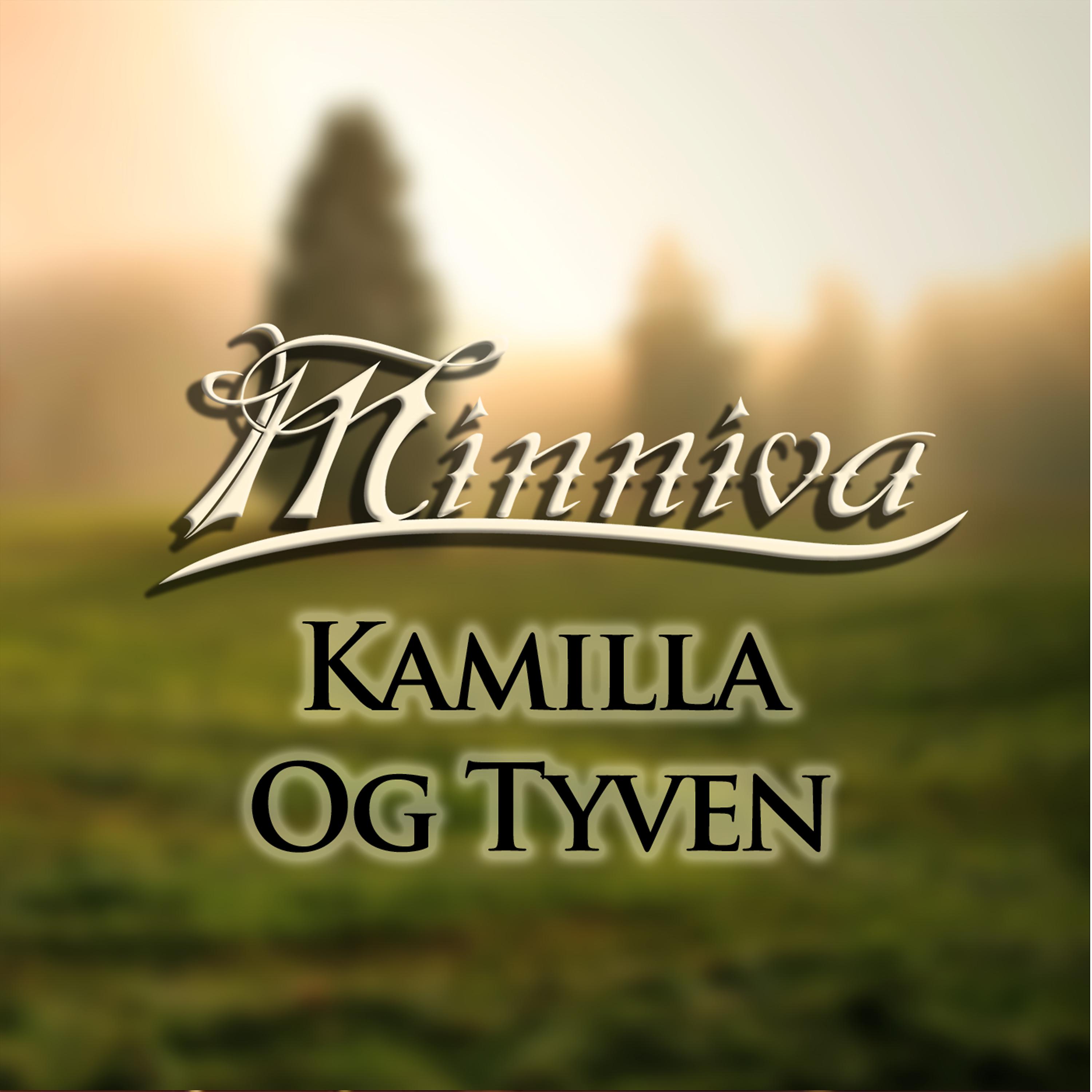 Постер альбома Kamilla og Tyven