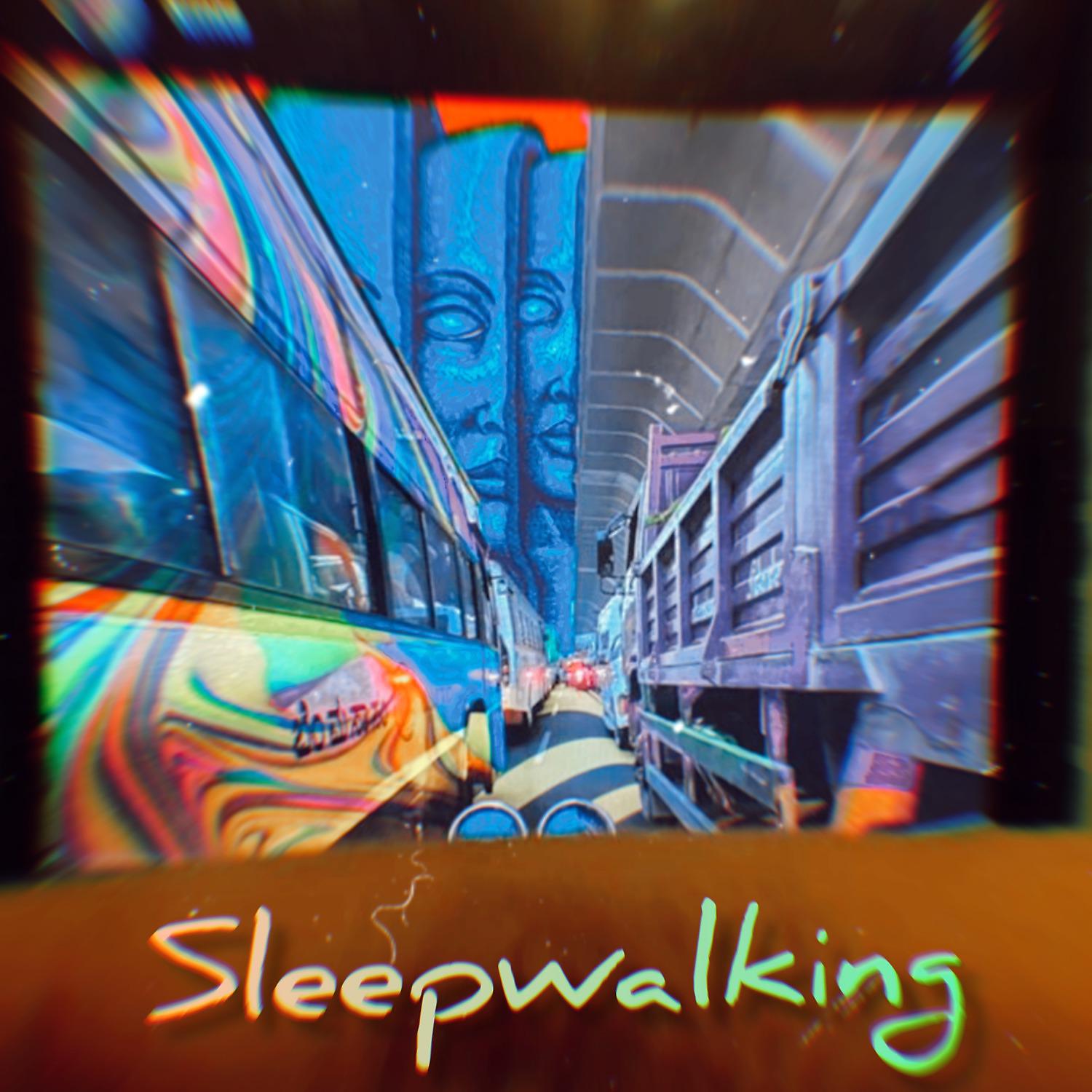 Постер альбома Sleepwalking