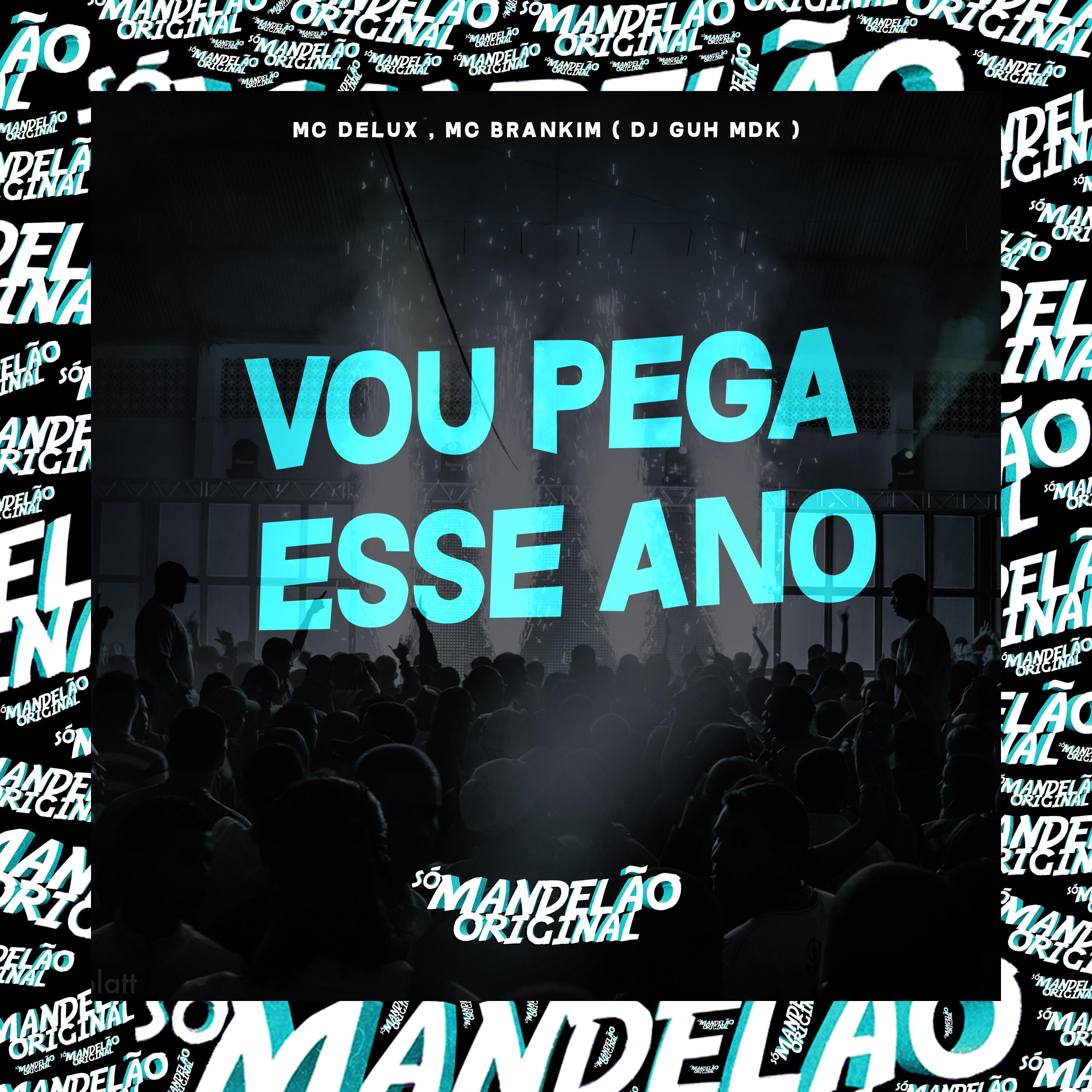 Постер альбома Vou Pega Esse Ano
