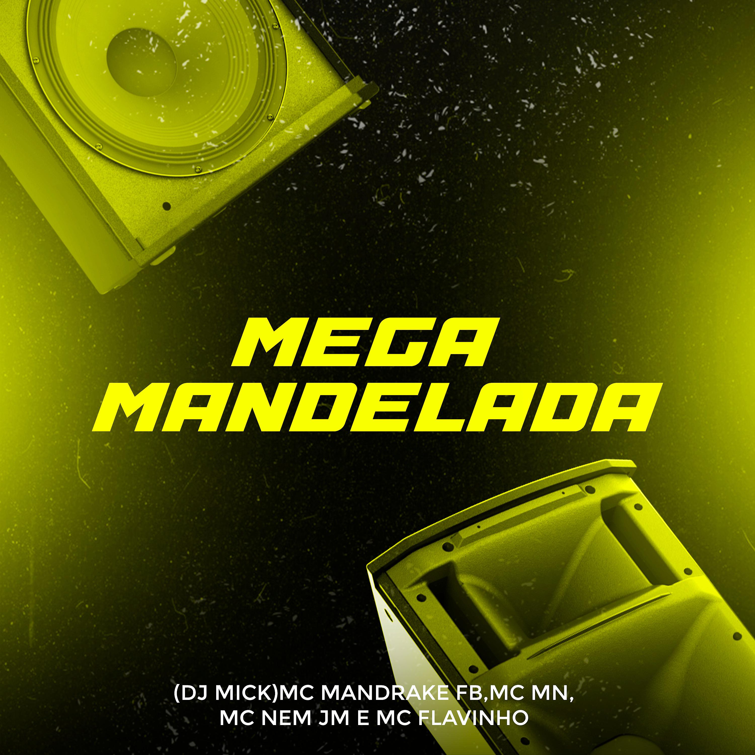 Постер альбома Mega Mandelada