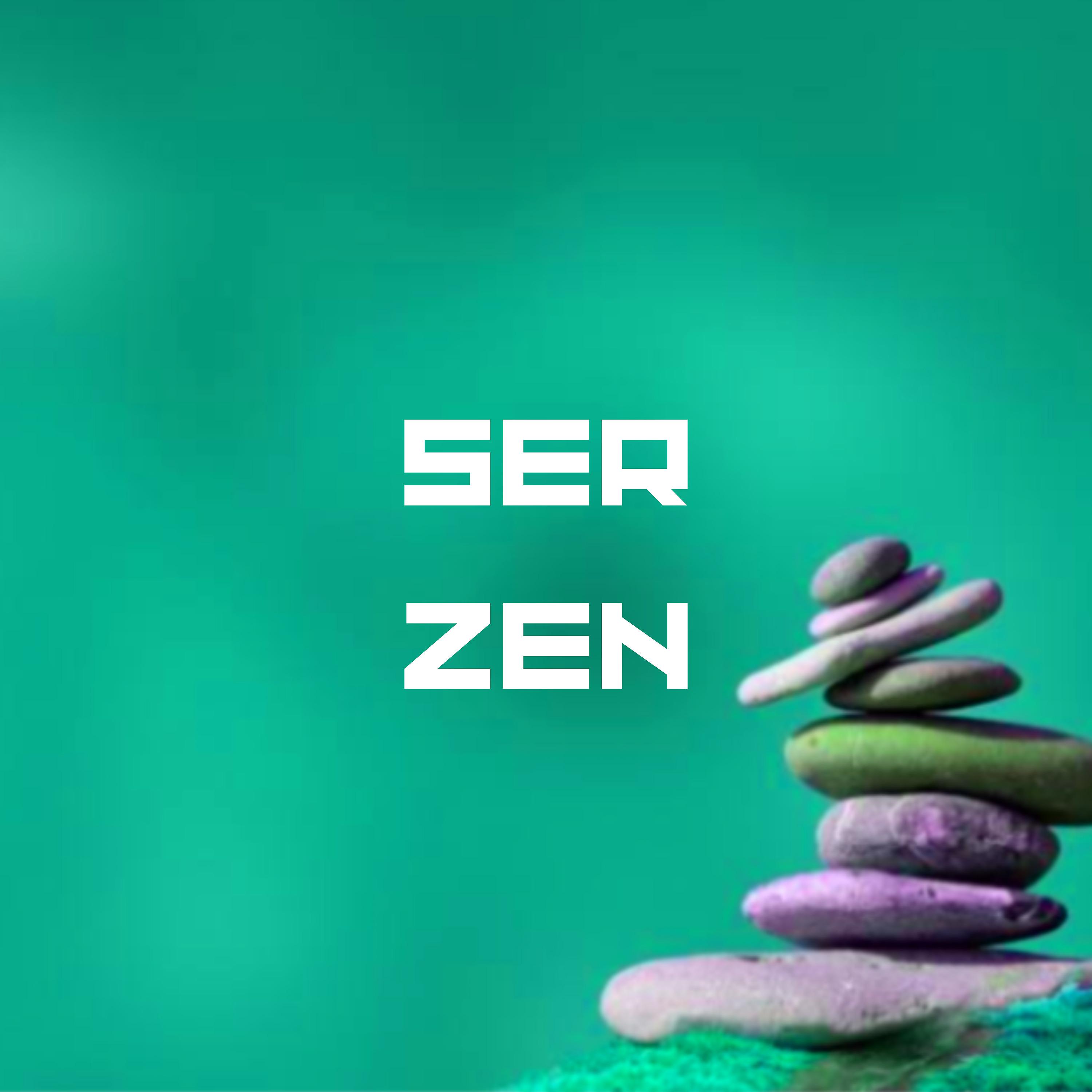 Постер альбома Ser Zen