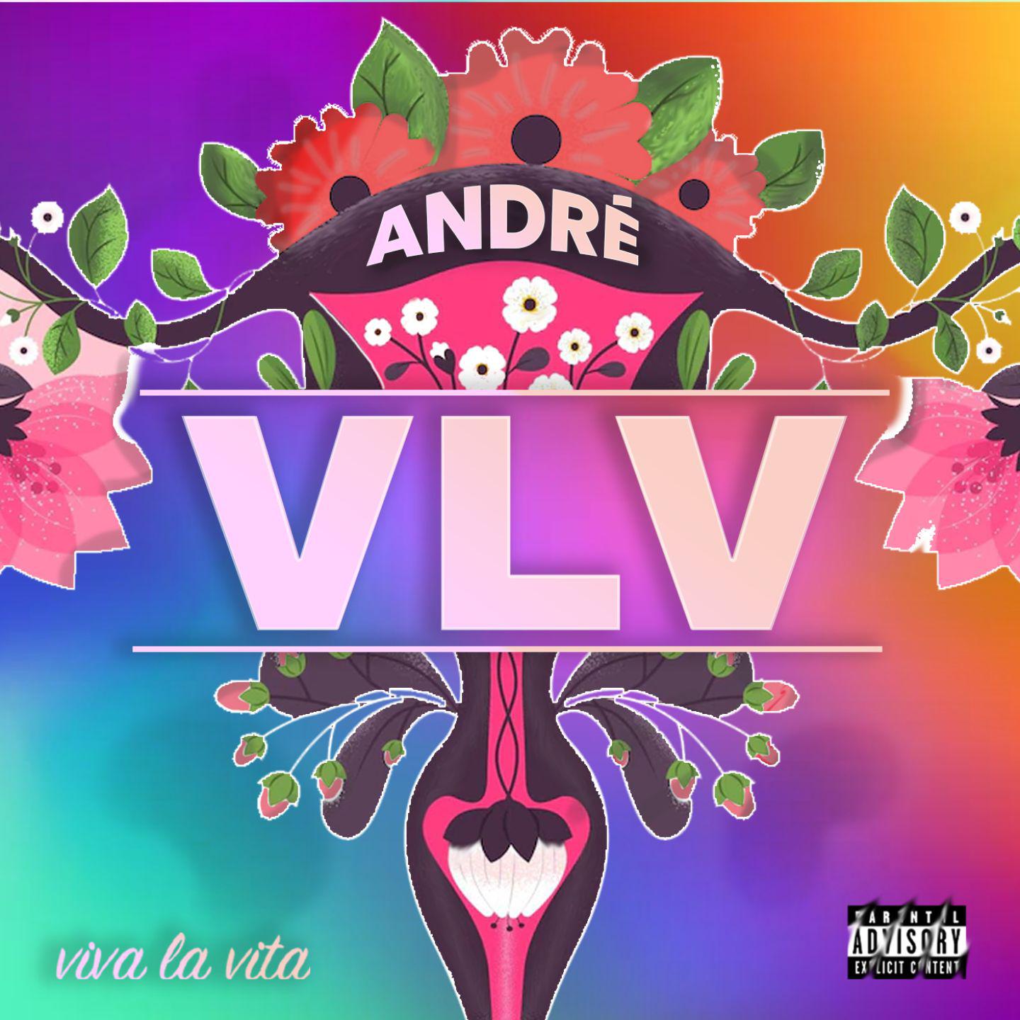 Постер альбома Viva la vita