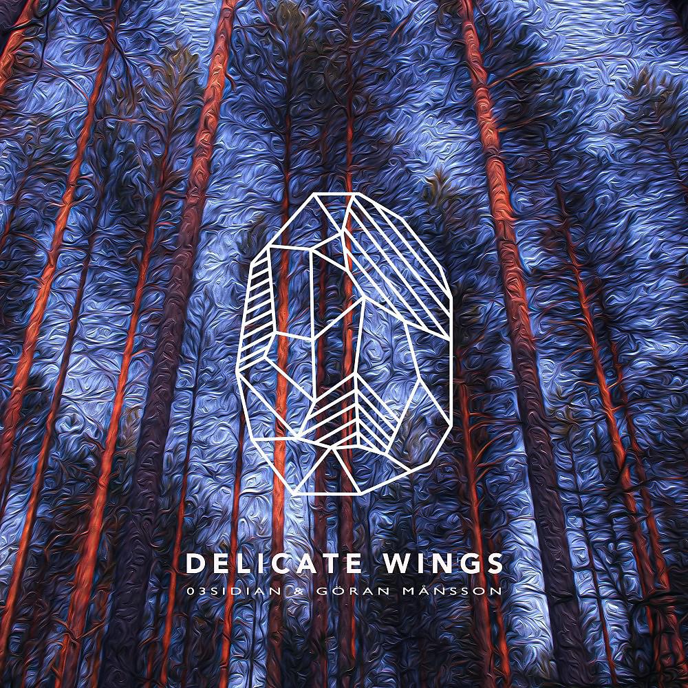 Постер альбома Delicate Wings