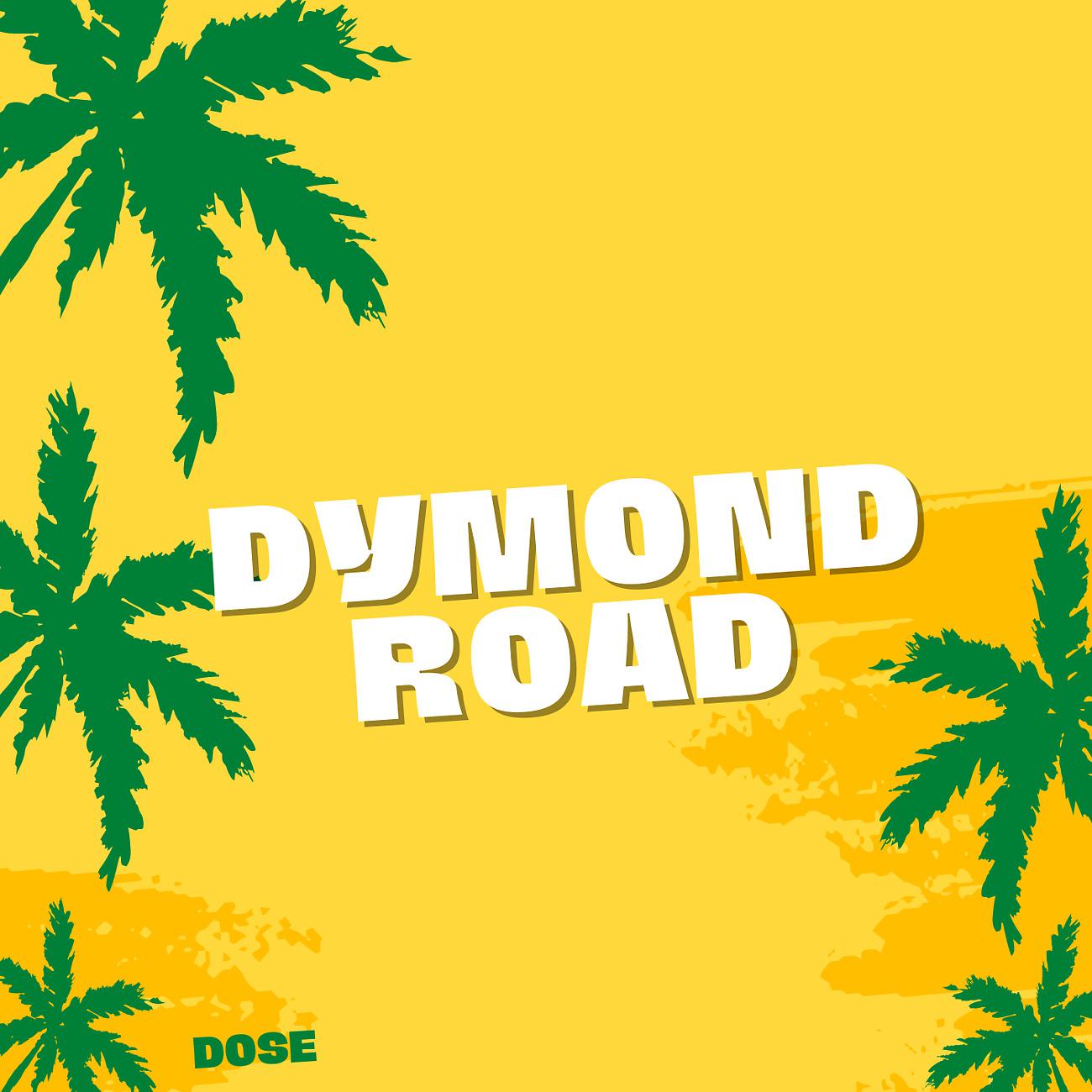 Постер альбома Dymond Road