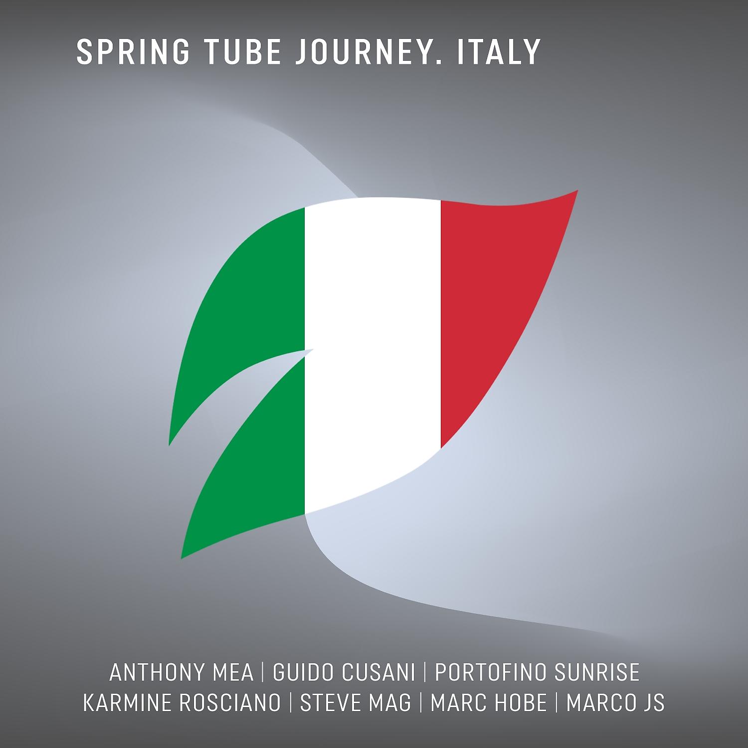 Постер альбома Spring Tube Journey. Italy